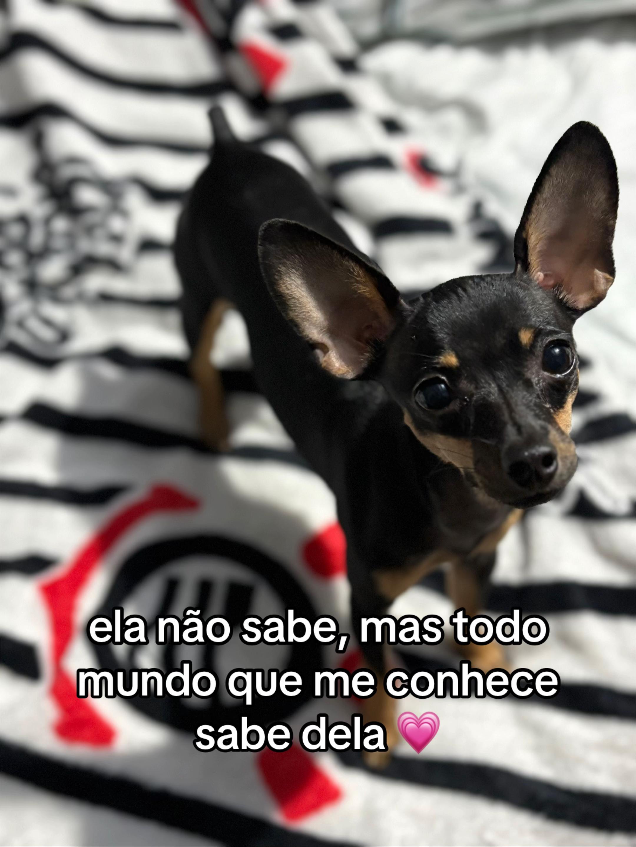@Raphaely Nogueira