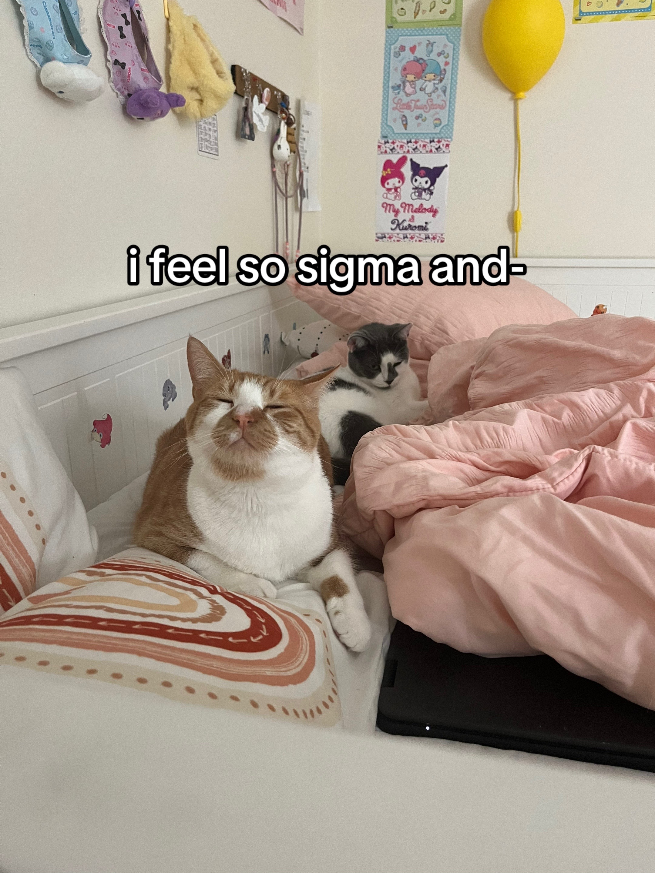 @🐈&zwj;⬛