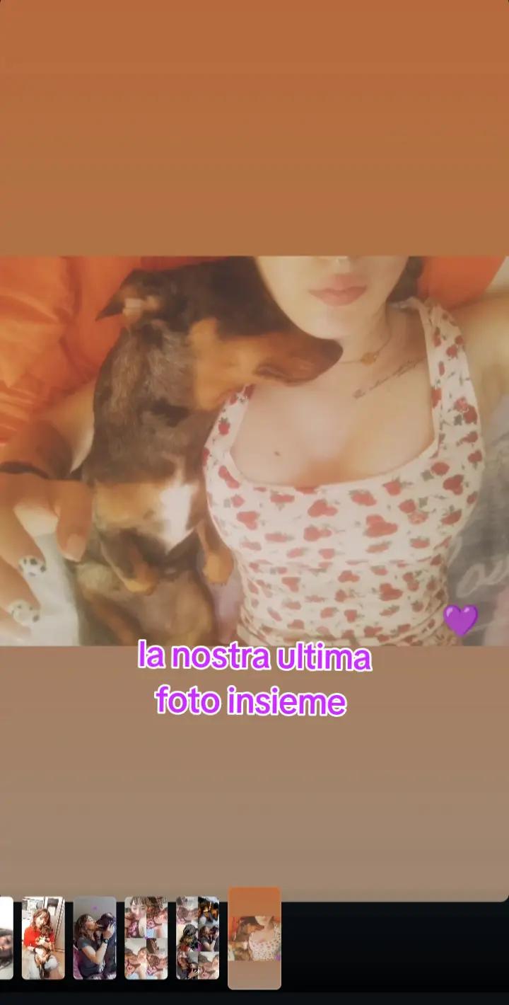@ila🎀