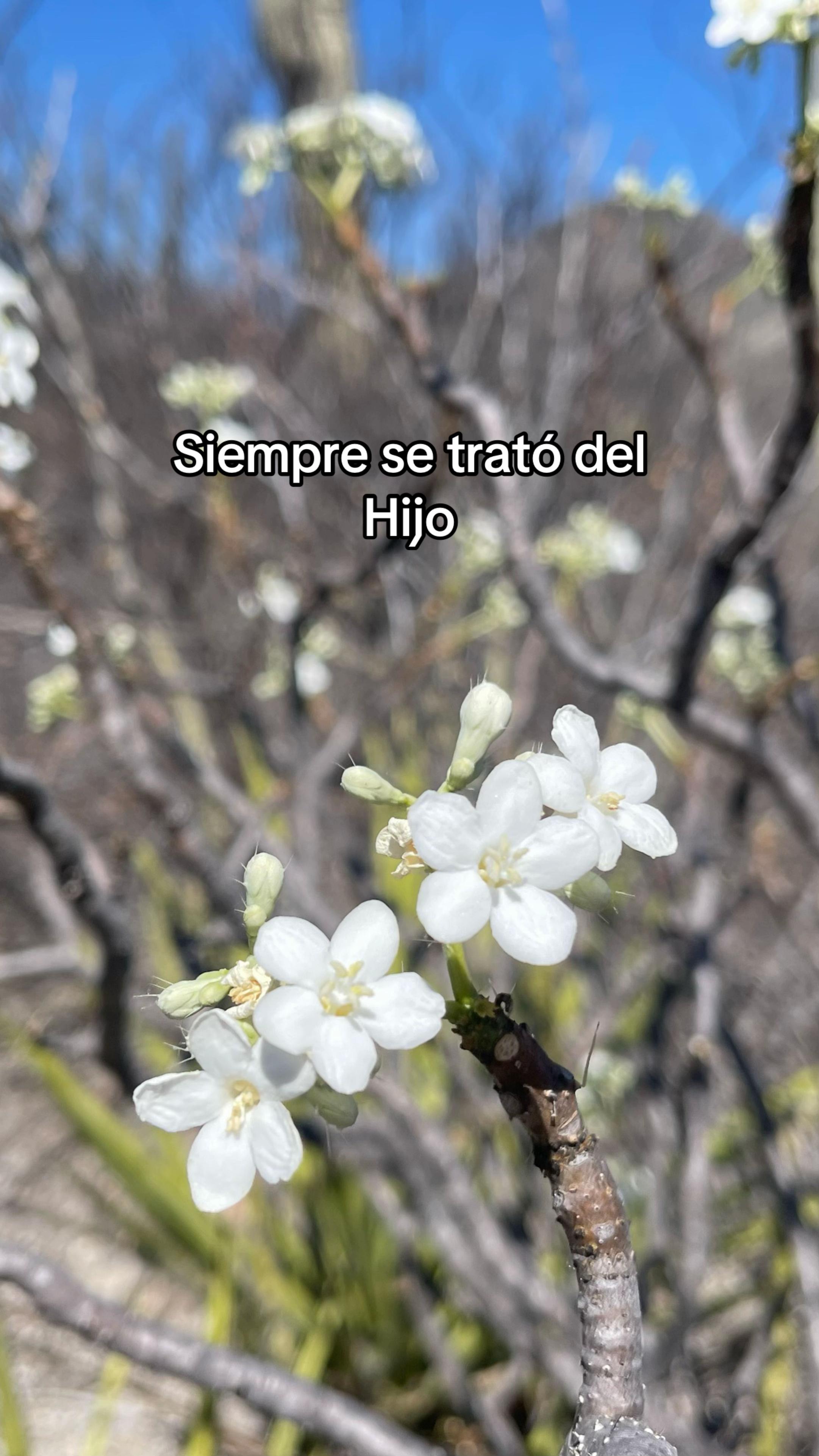 @Carlos_Ivan