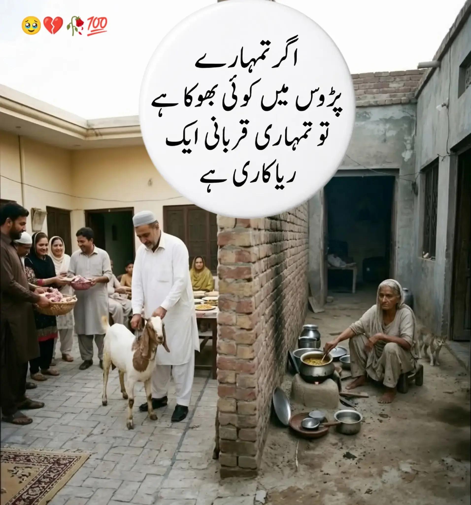 @SUHAIB MUHAMMAD RAFI