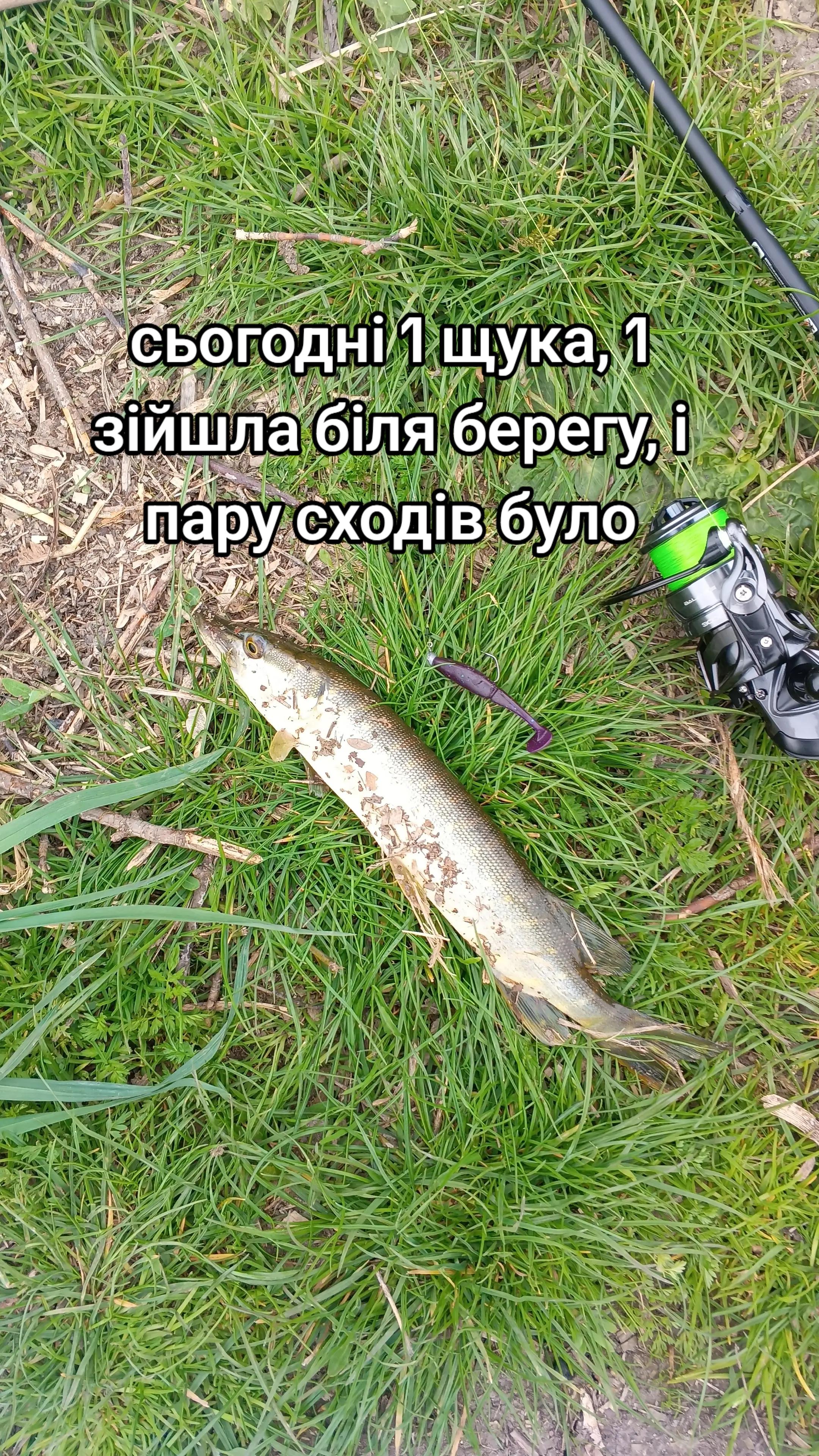 @🇺🇦🅁🄸🄱🄰🄲🄷🄺🄰𓆟🄸🅁🄰