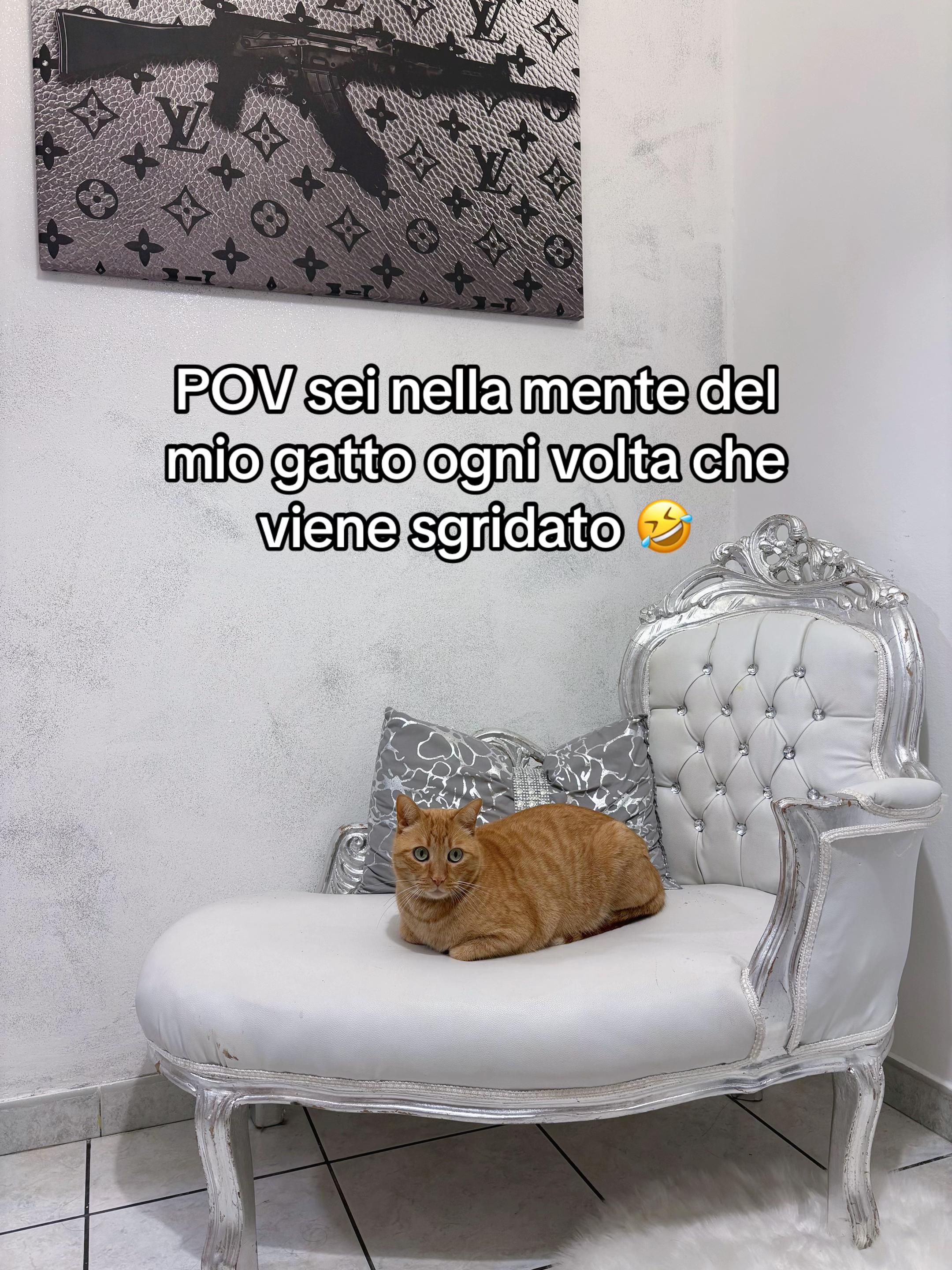@•Samantha•🐾