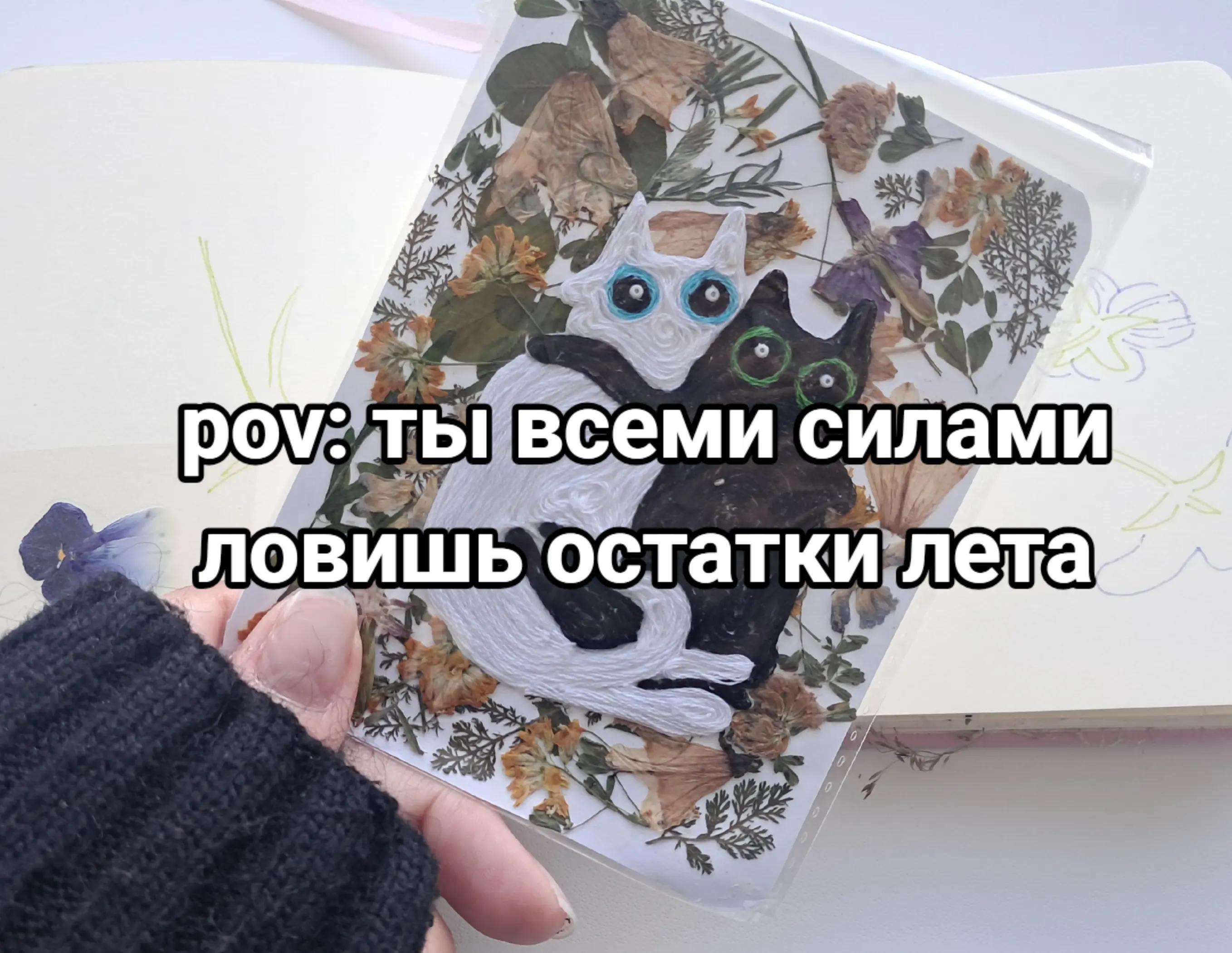 @💌Феня 💌