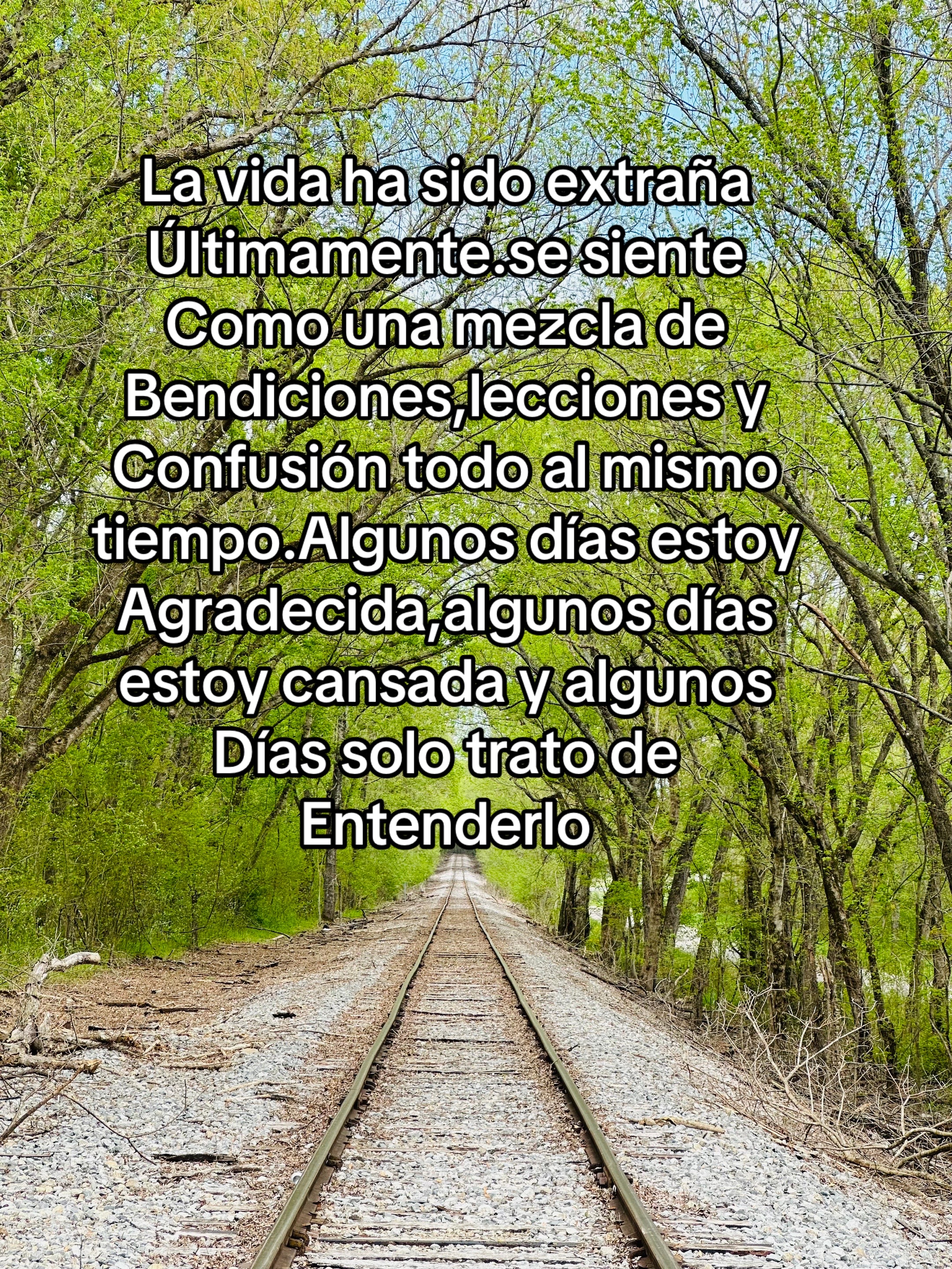 @🌺juanys🌺🍁