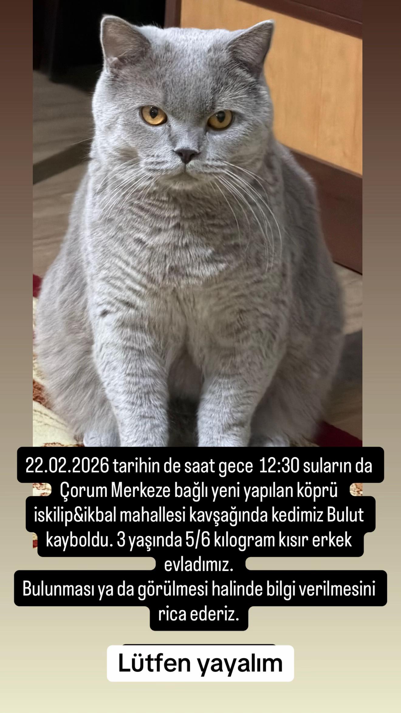@BULUT KAYIP
