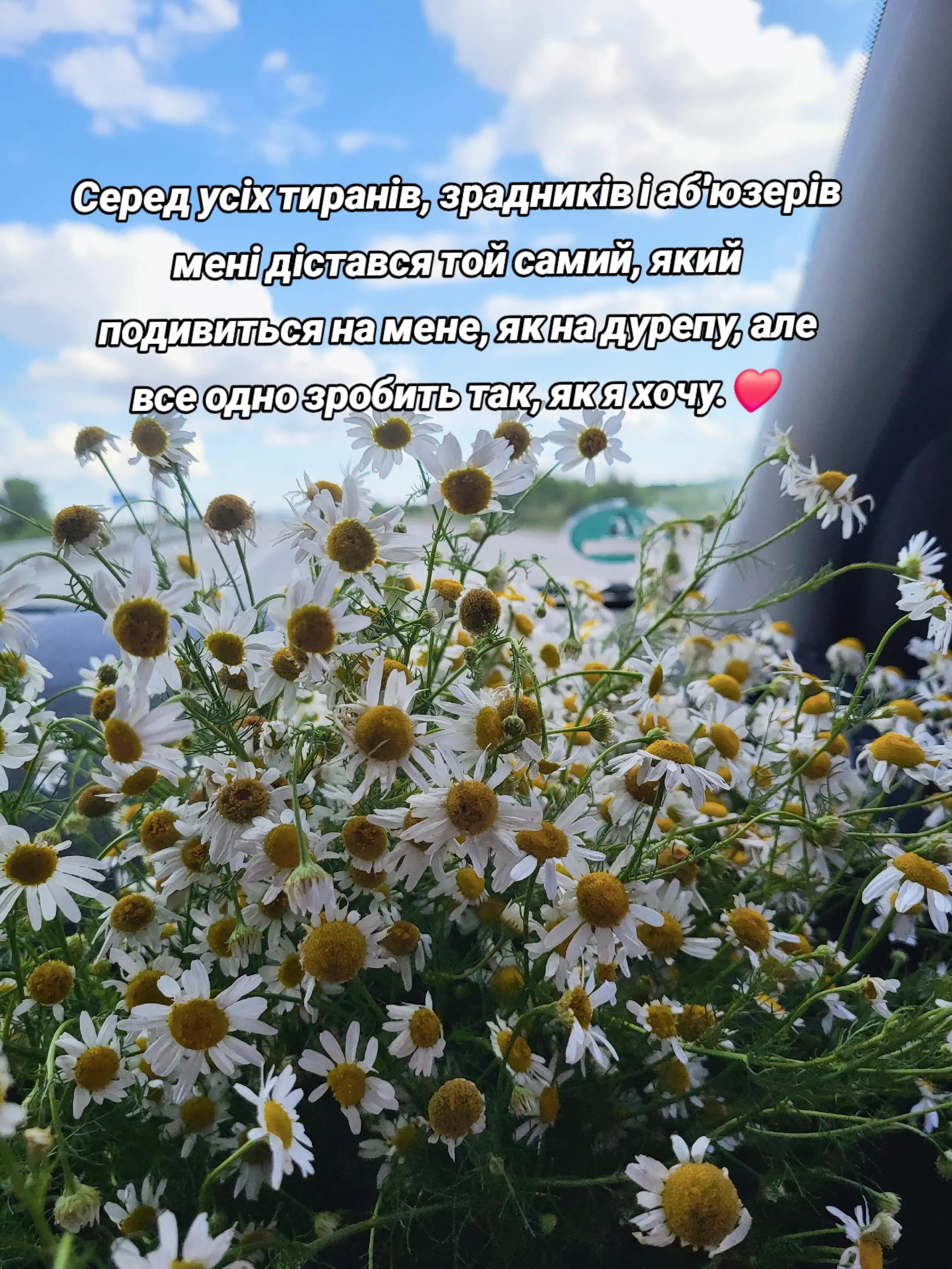 @꧁༒ Вікторія ༒꧂