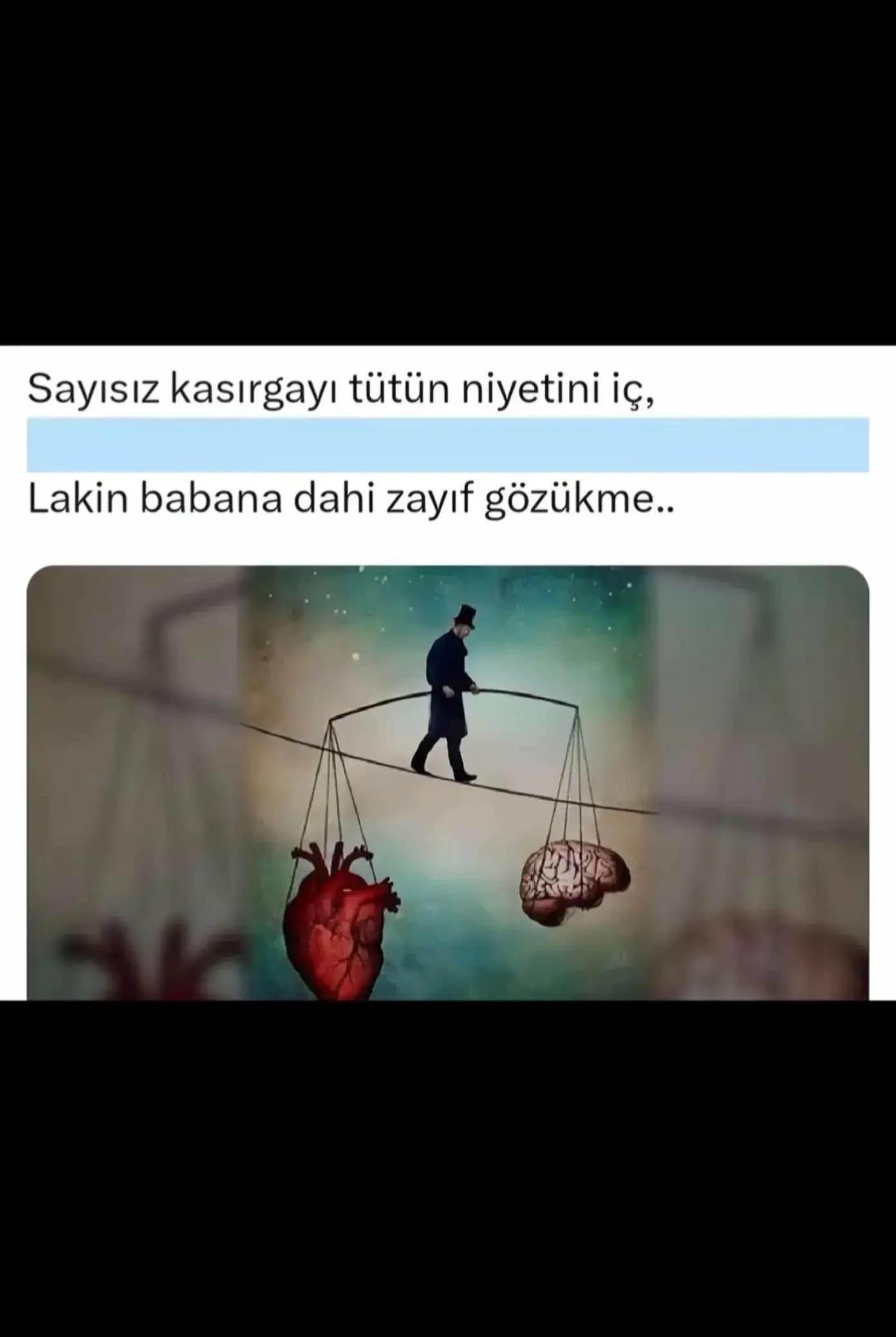 @T_K 41_58 🦞