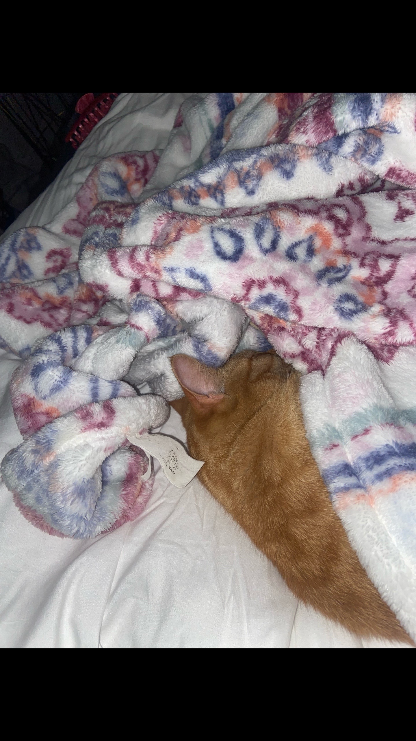 @harpurrbadarpurrrr