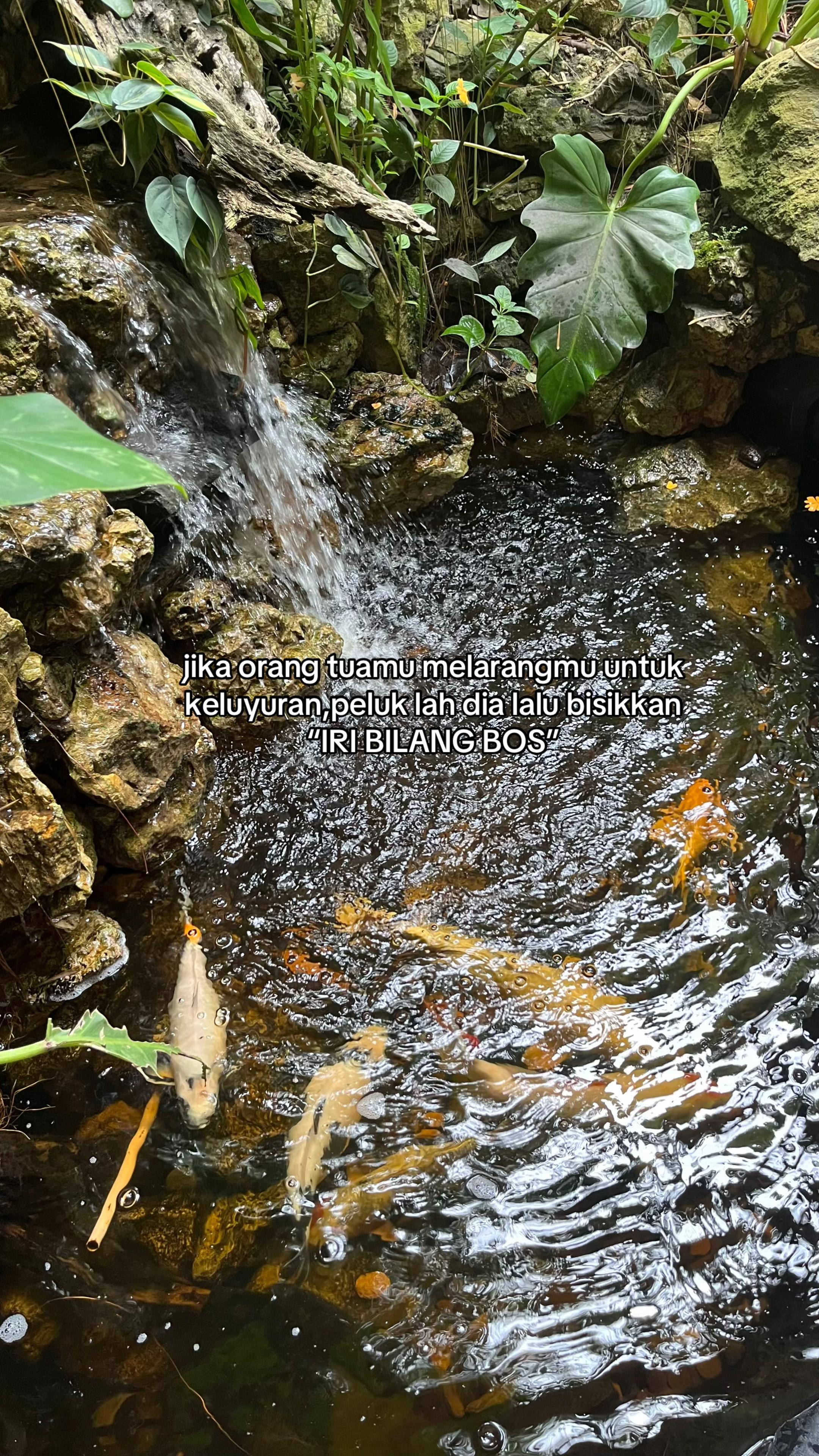 @𝒩 𝒟
