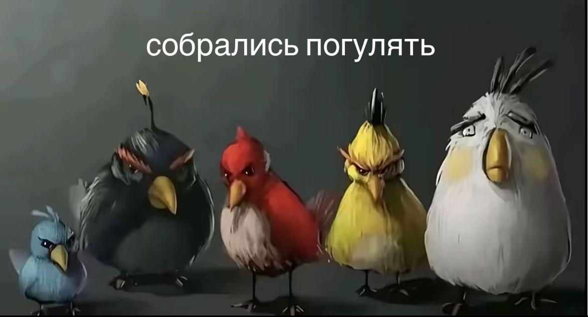 @𝒌𝒐𝒌𝒔