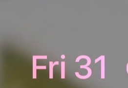 @🧺🩷💜𝓫𝓪𝓼𝓼𝓲𝓮💜🩷🧺