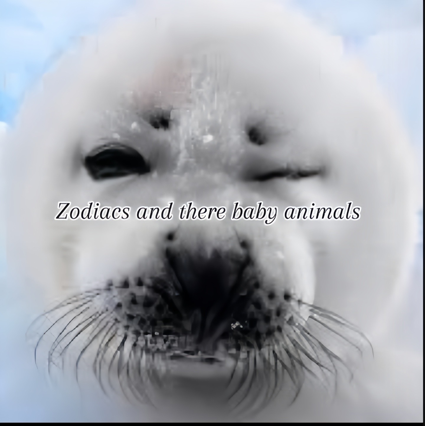 @Zodiac1
