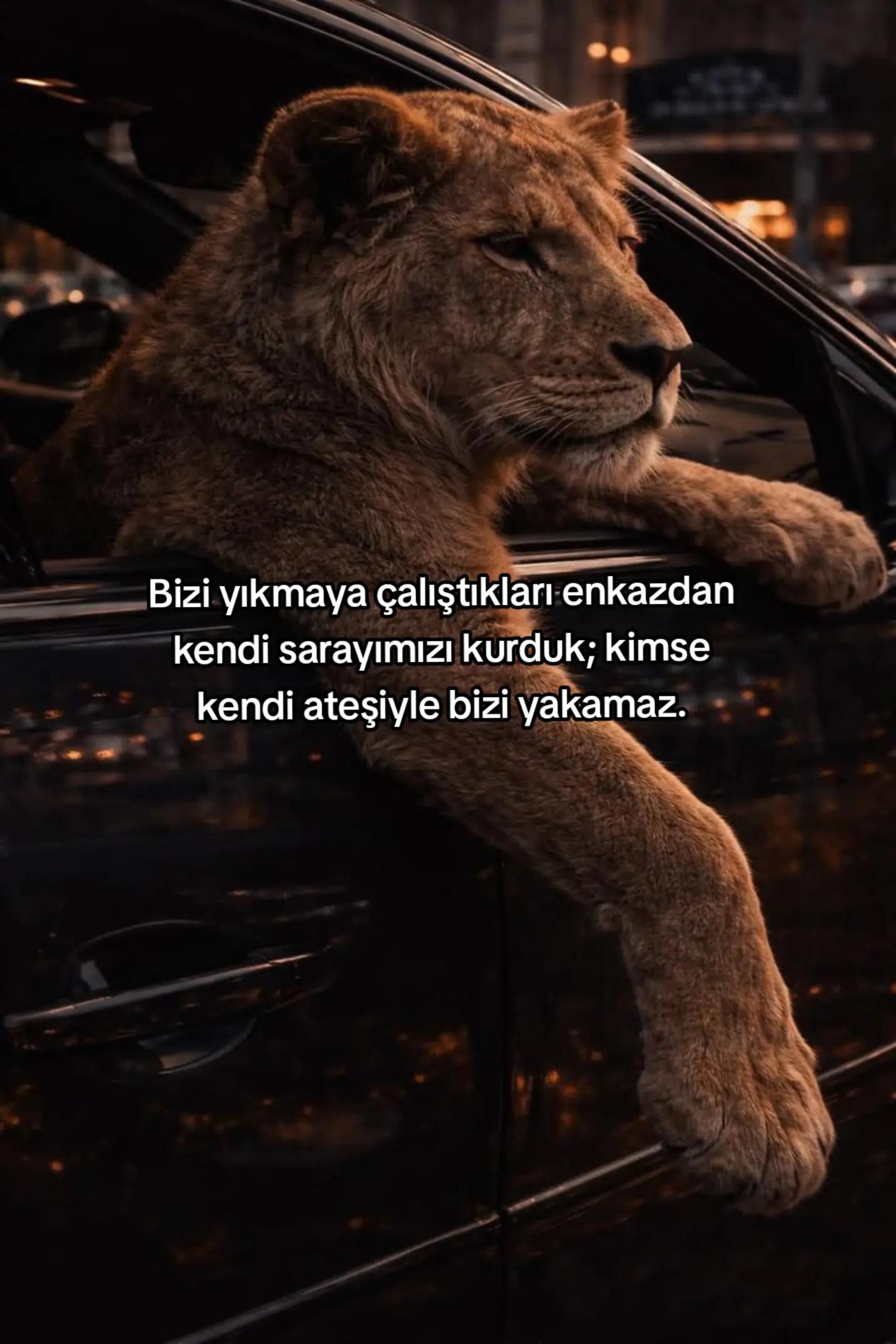 @ZEKİ KARA