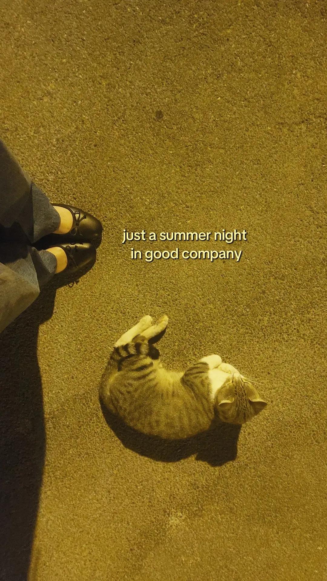 @elisa ͙⋆