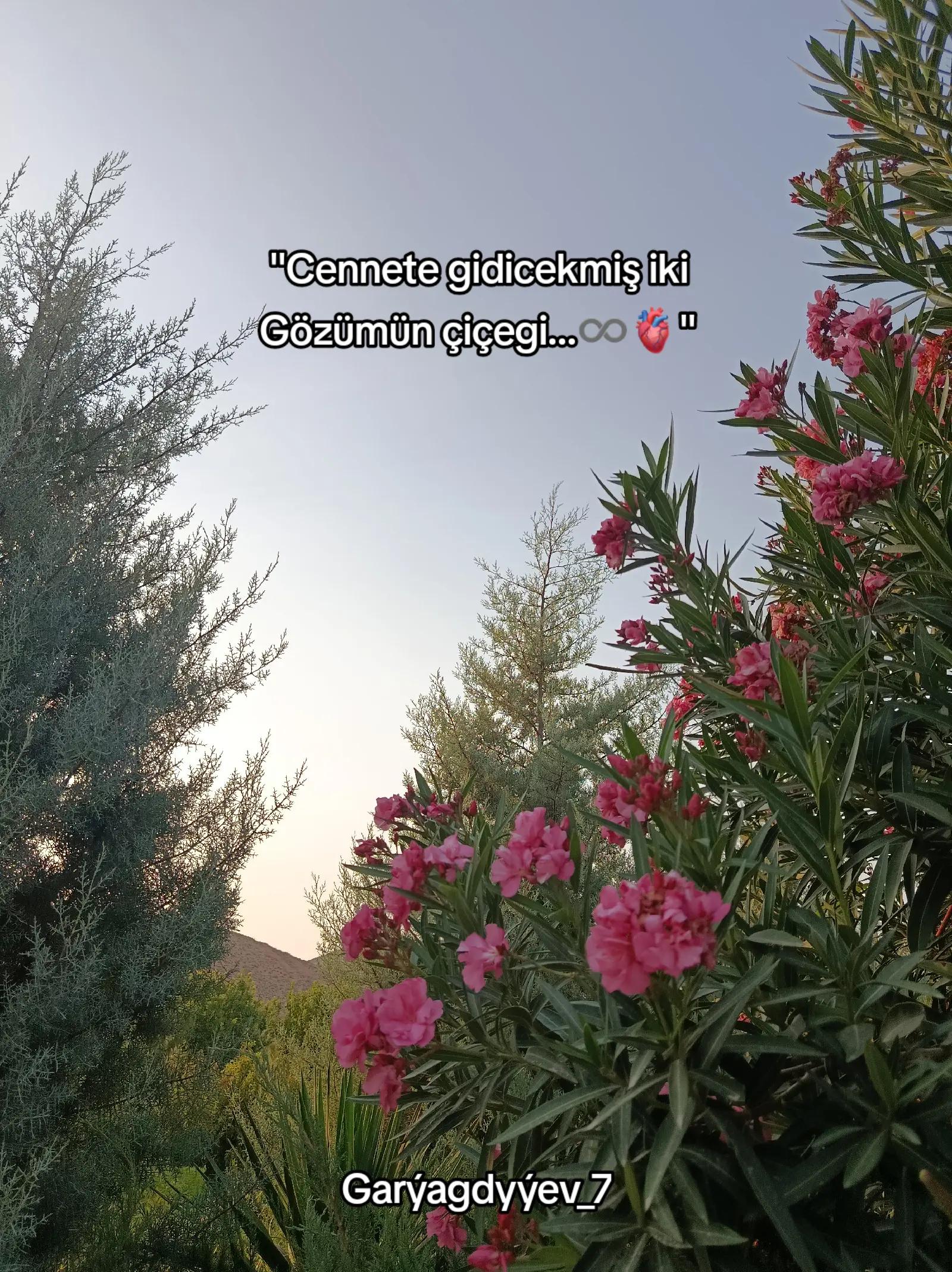 @Garýagdyýev_7