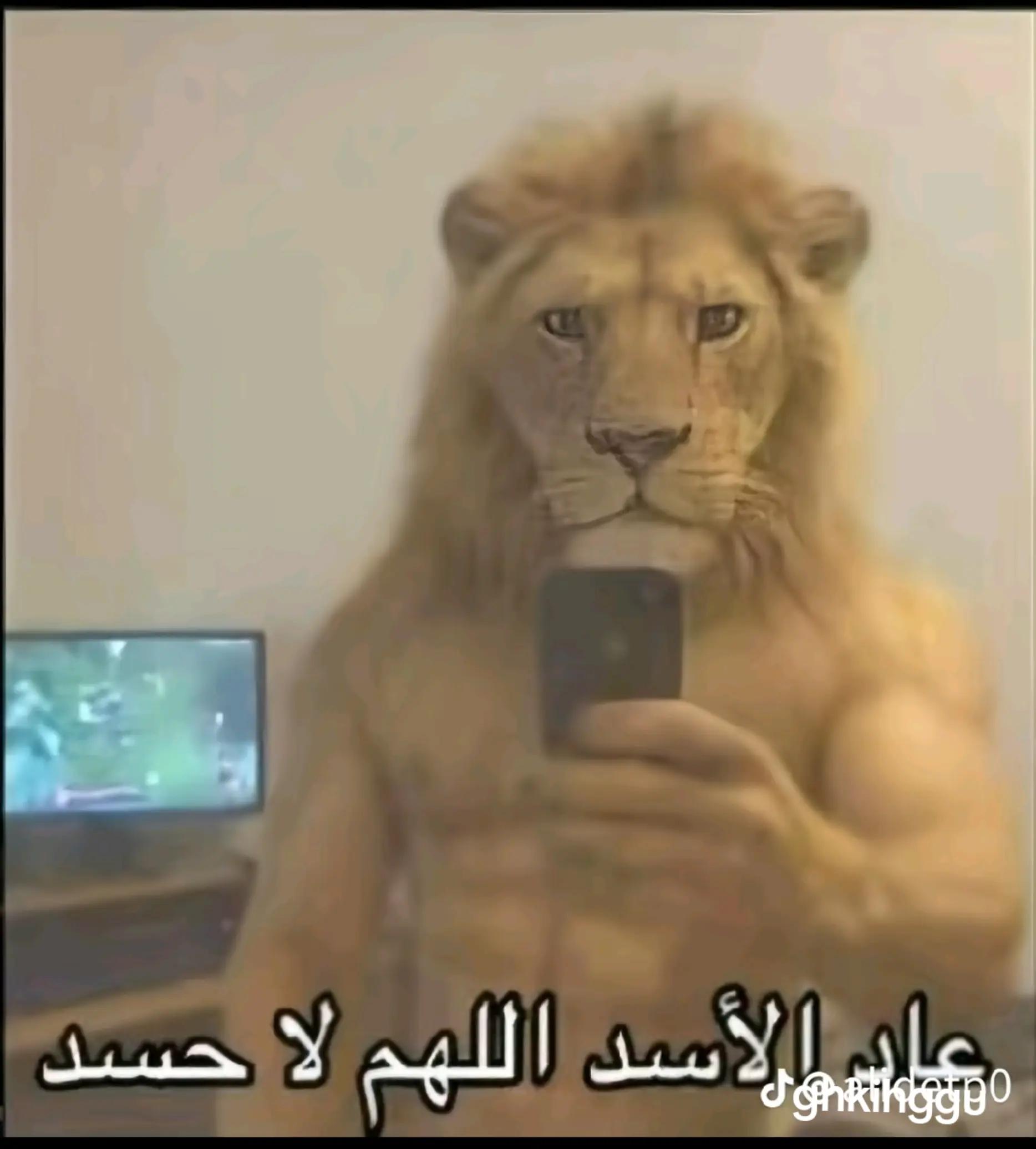 @Houssam Zouhairi