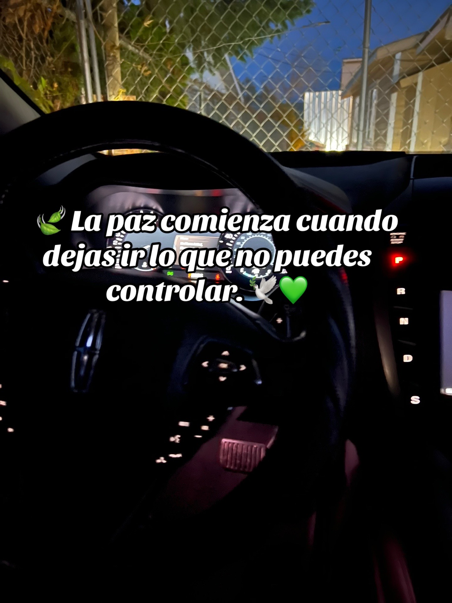 @flaco_S17