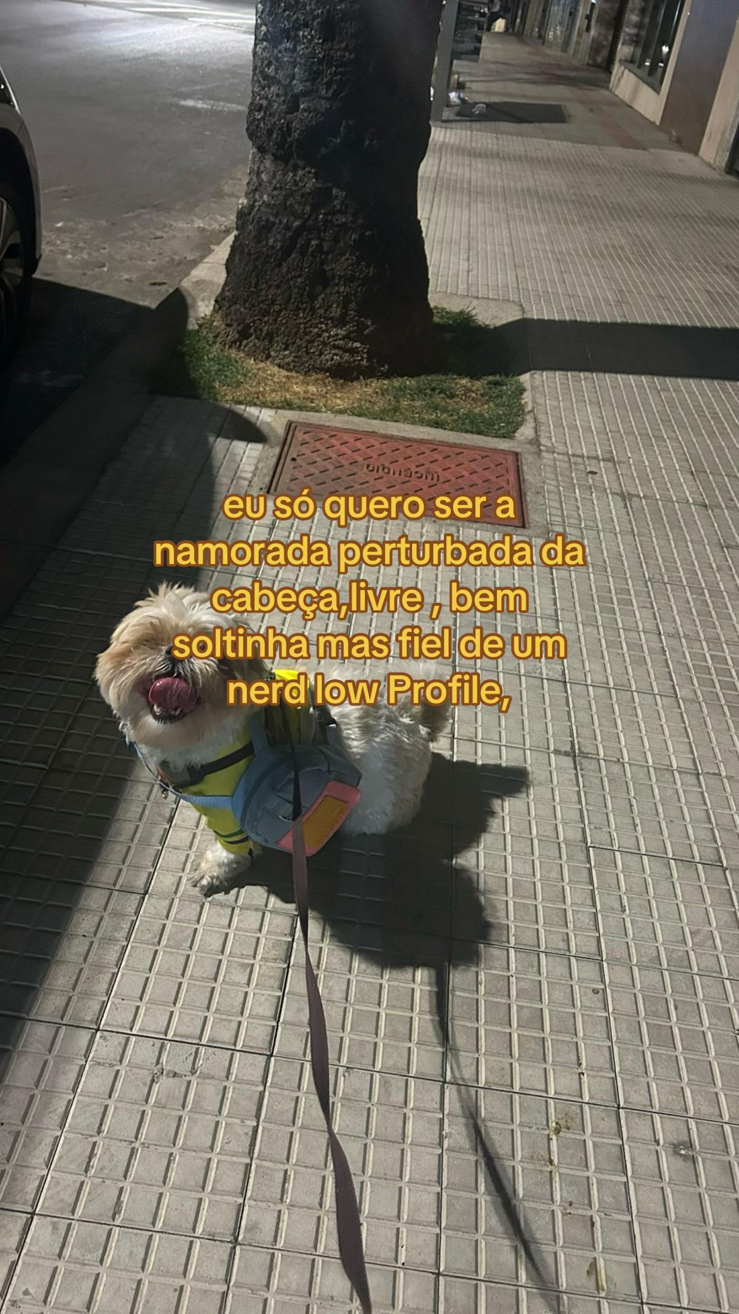 @𝕿𝖜𝖎𝖙𝖙𝖊𝖗𝖕𝖊𝖘𝖘𝖔𝖆𝖑🤹