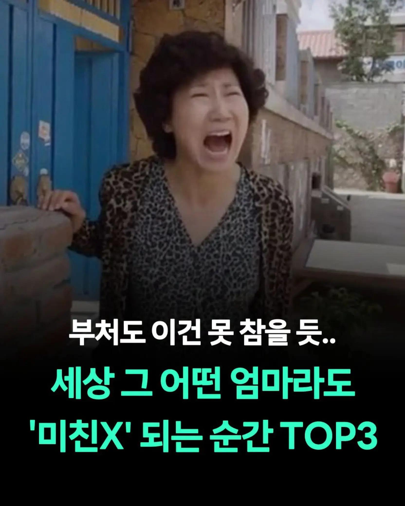 @@냥이글