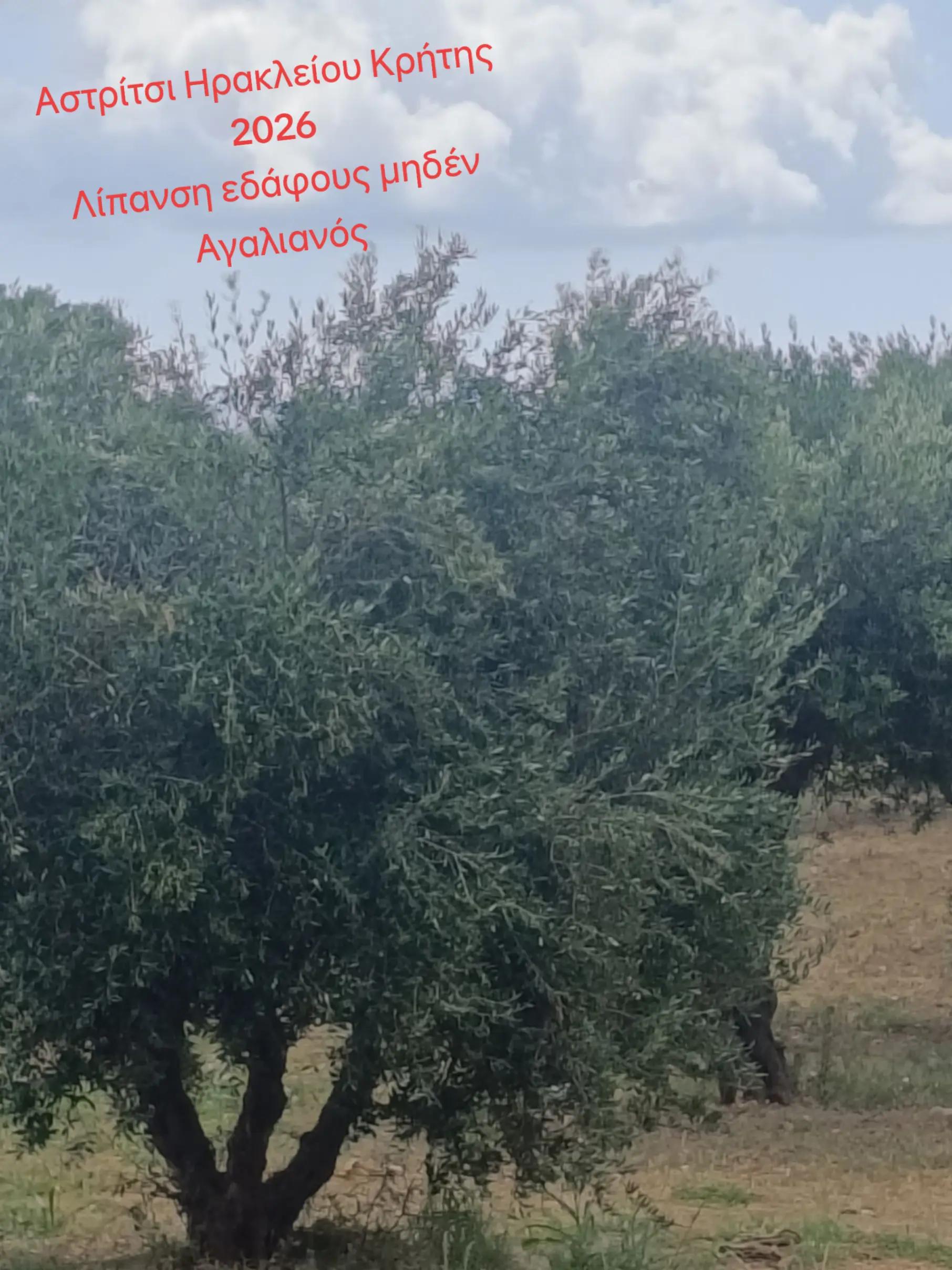 @&Alpha;&gamma;&alpha;&lambda;&iota;&alpha;&nu;ό&sigmaf; &Iota;&omega;ά&nu;&nu;&eta;&sigmaf; &Gamma;&epsilon;&omega;&pi;ό&nu;&omicron;&sigmaf;