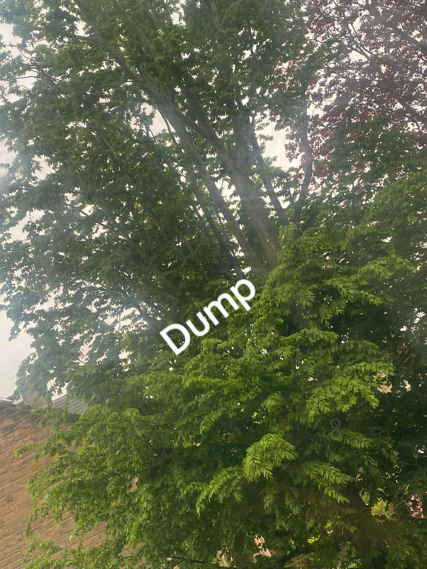 @Itz.omxr