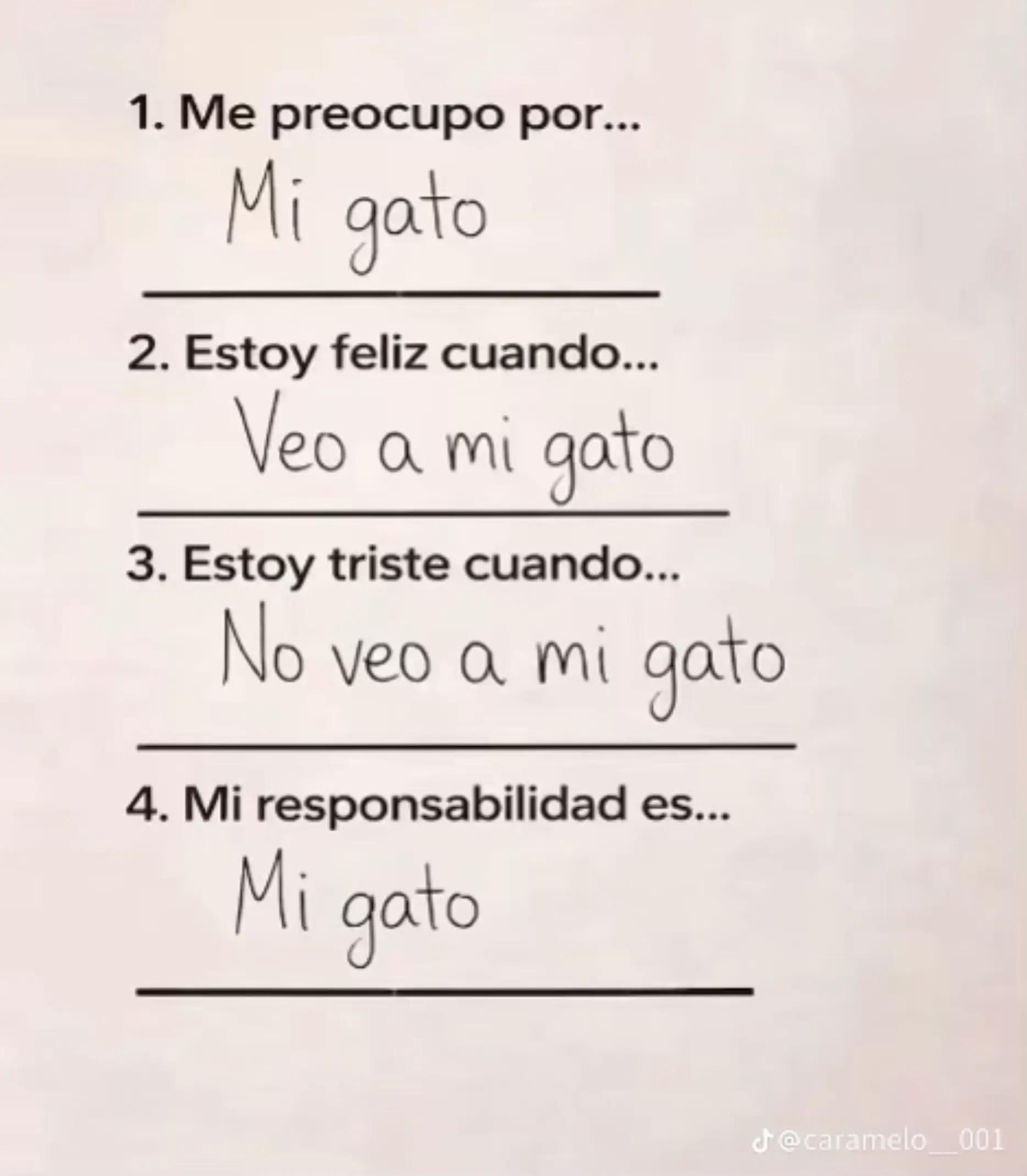 @tú_michi_1