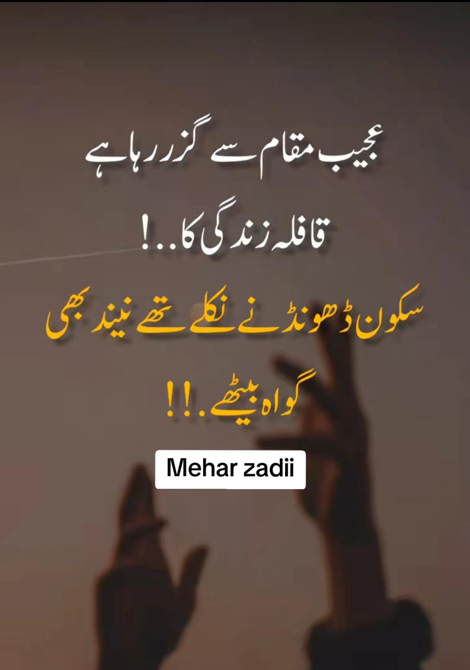 @Mehar Zadi 🖇️🤞🏻