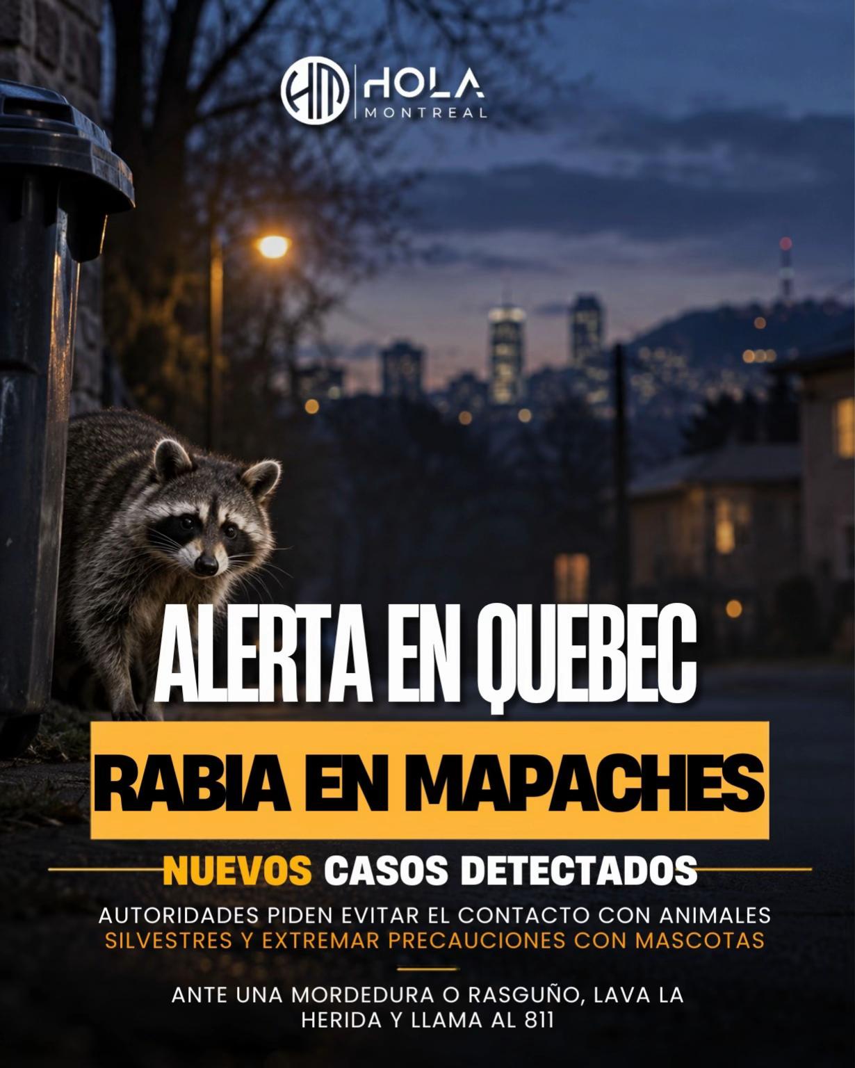 @Hola Montreal