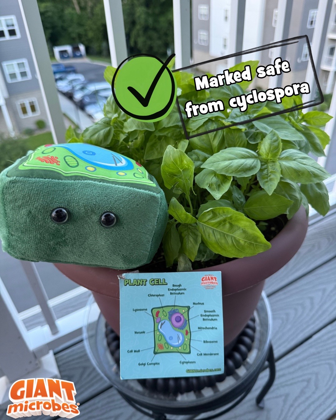 @GIANTmicrobes