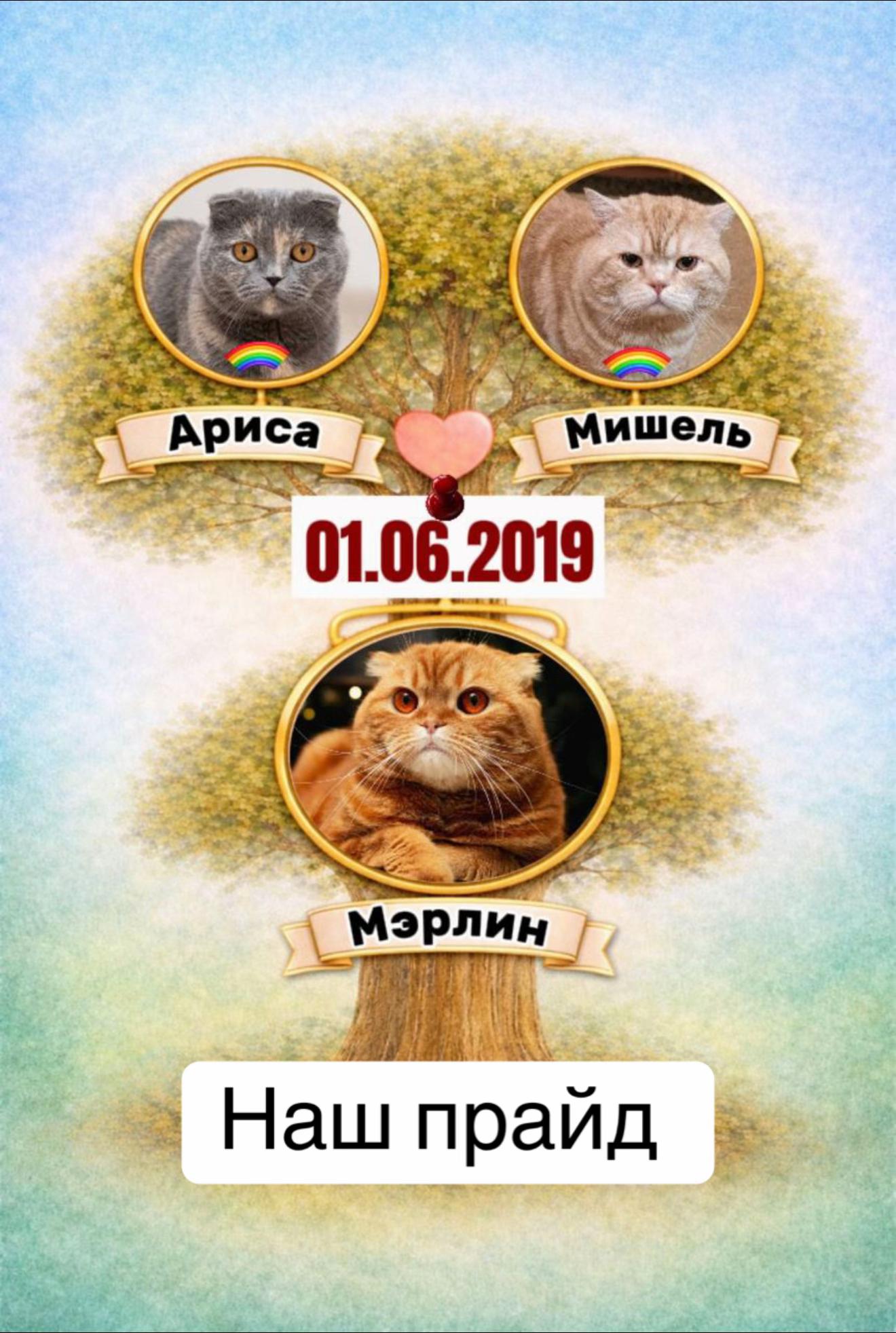 @Tanchik1808