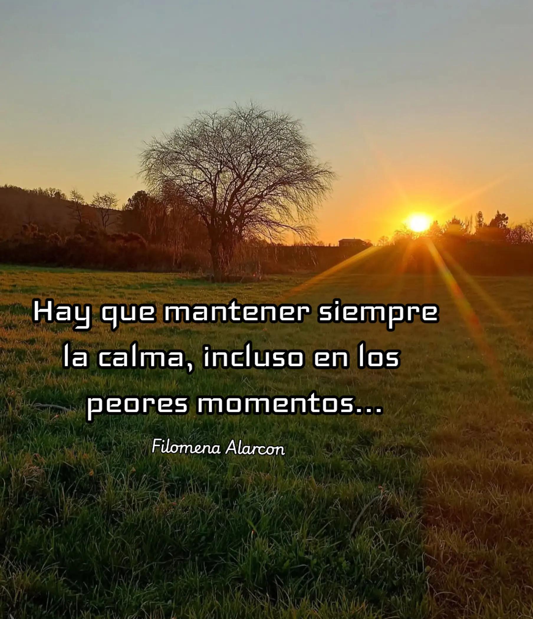 @Filomena Alarcón Lara