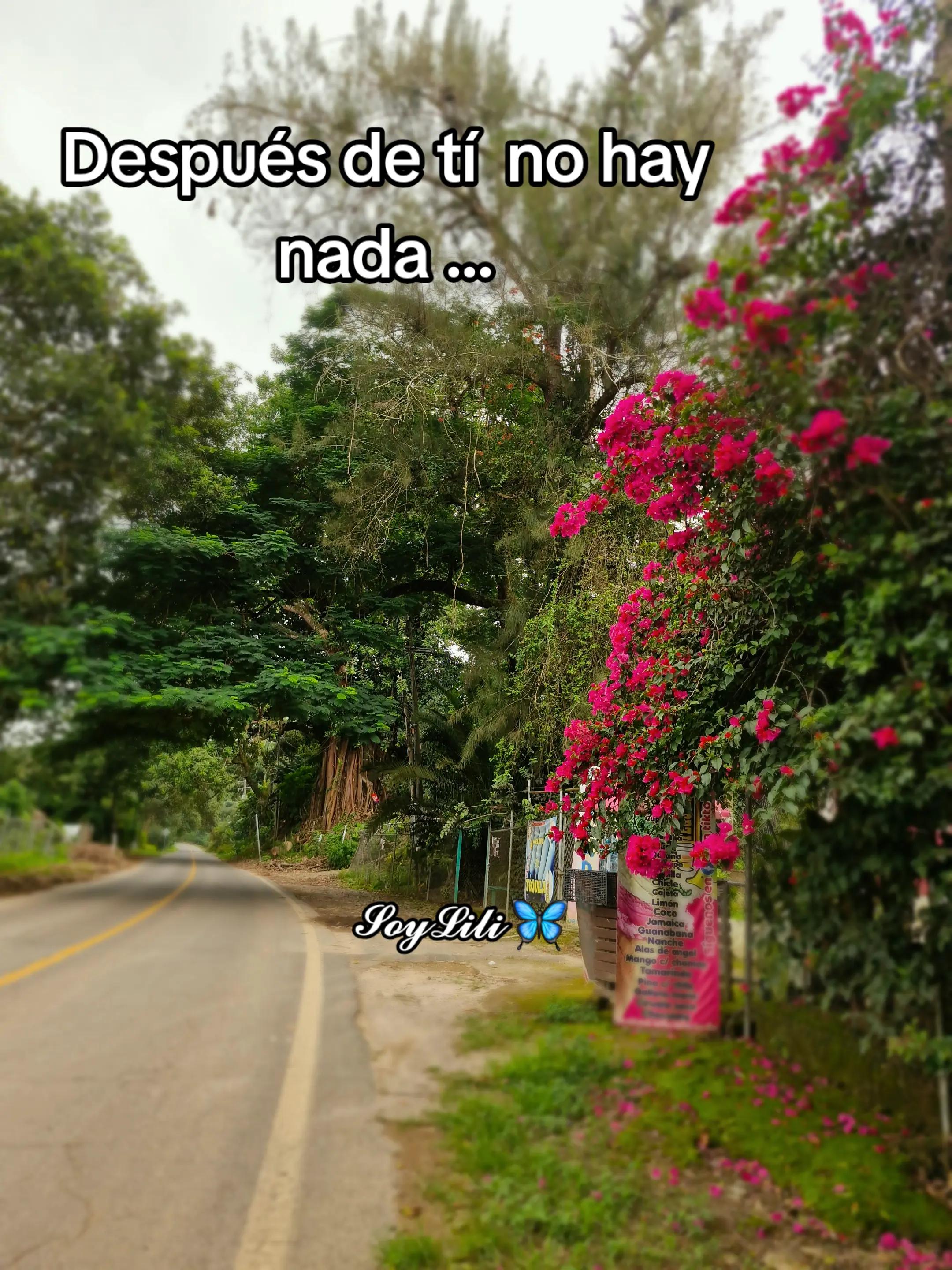 @𝓢𝓸𝔂𝓛𝓲𝓵𝓲🦋❤️&zwj;🩹