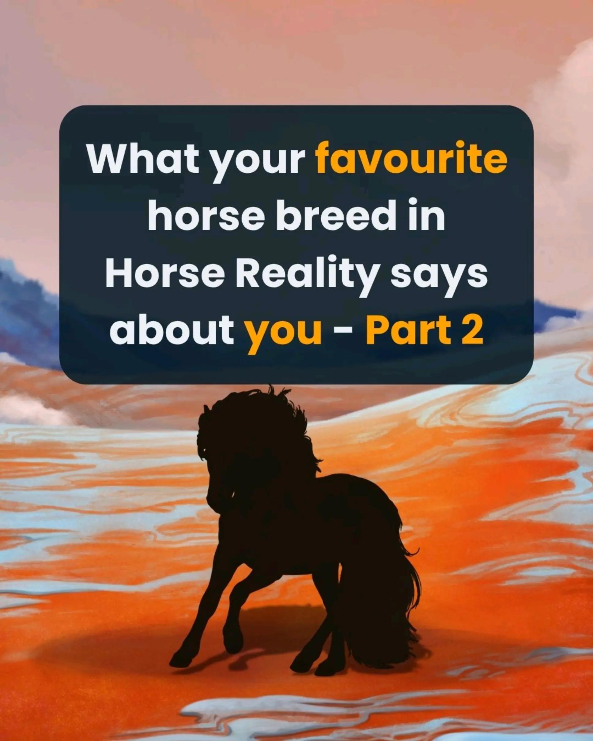 @Horse Reality