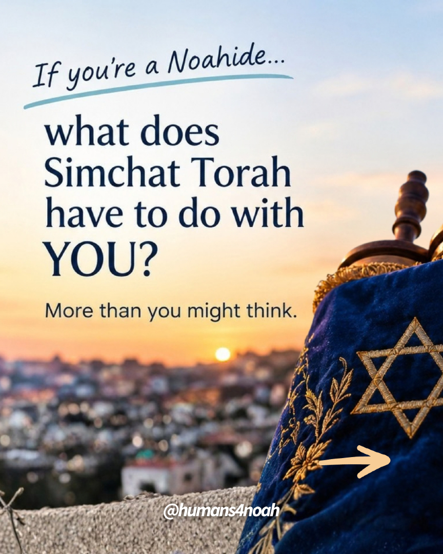 @Humans 4 Noah