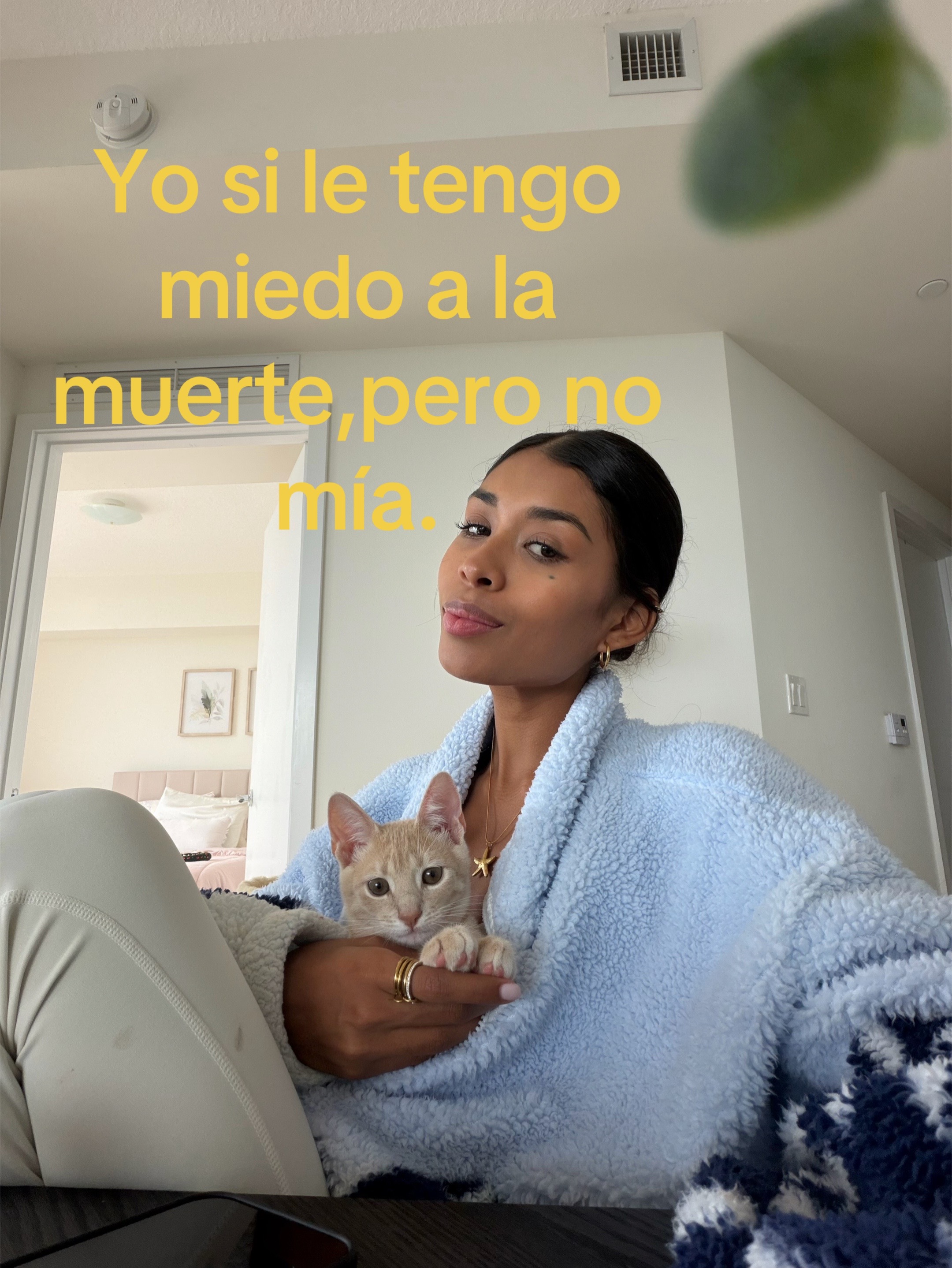 @Julieta Araujo