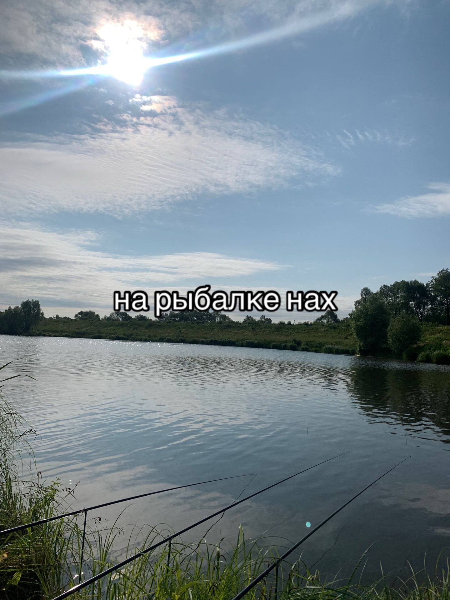 @filosovic