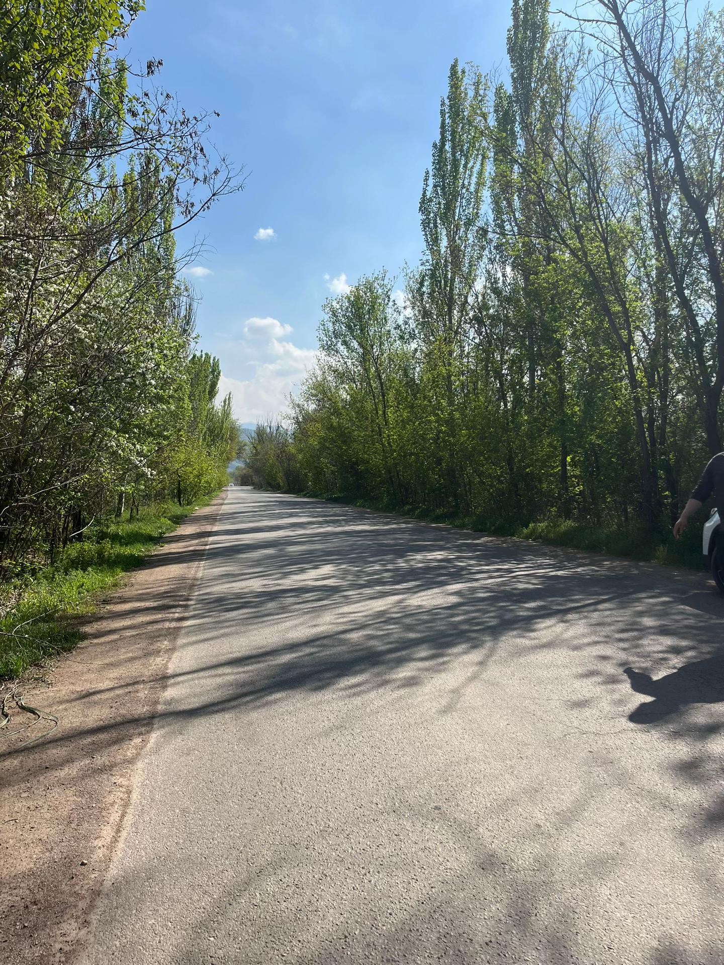 @Гулниса Кутлукжановна