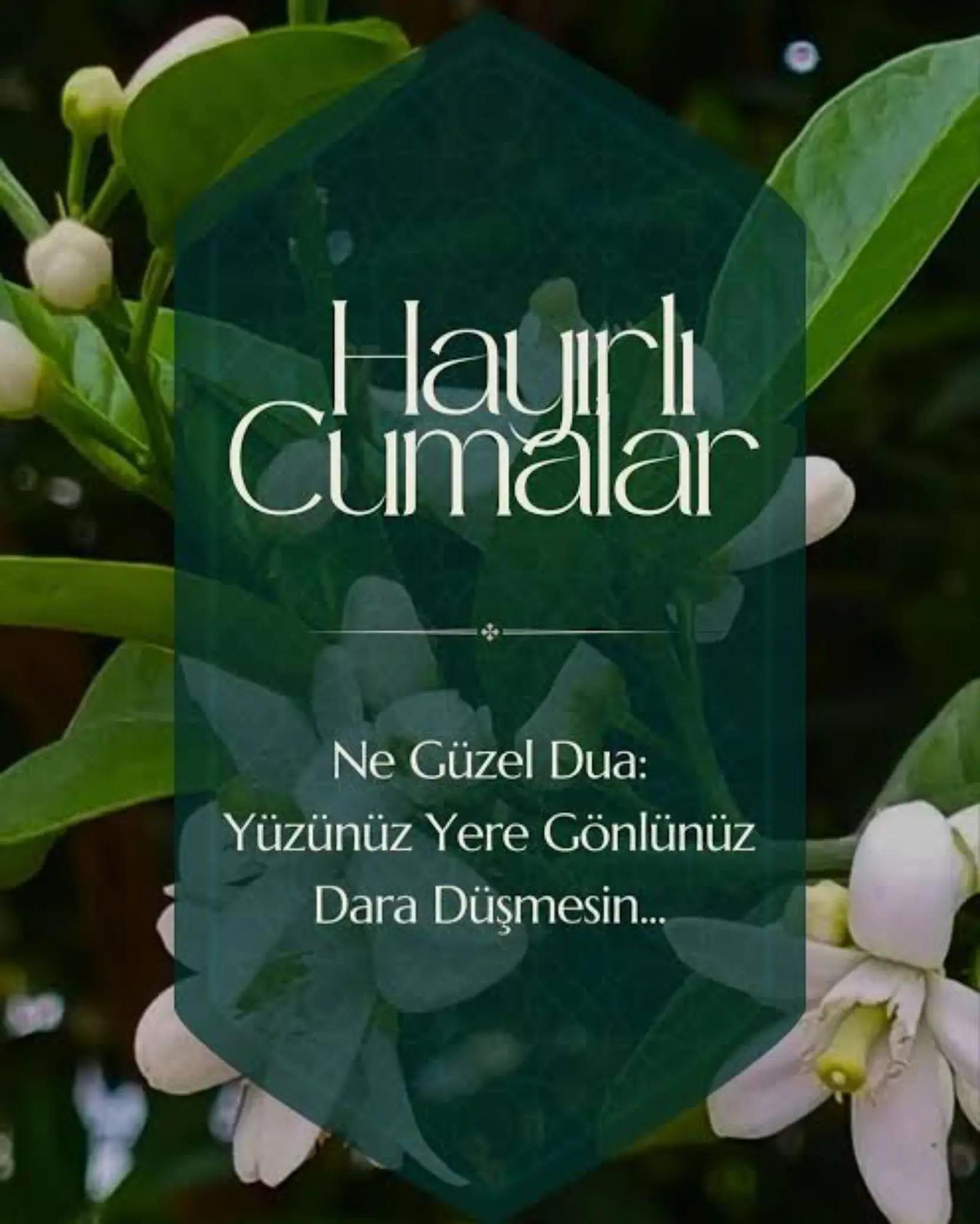 @Barbaros&Ccedil;iftliği