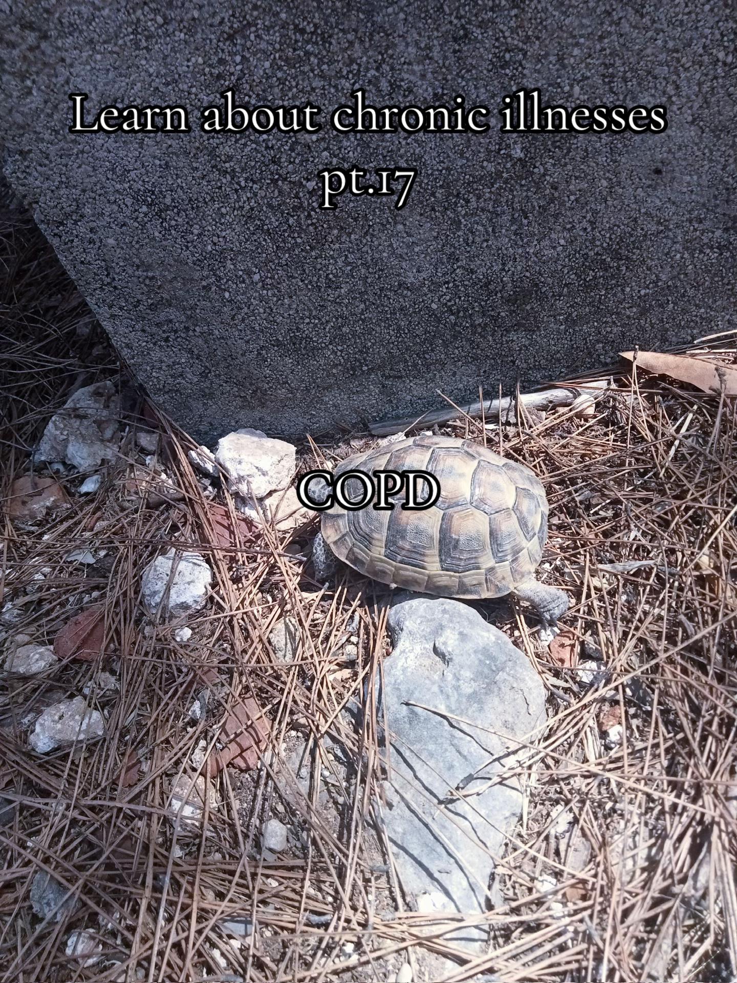 @𝓛𝓲𝓵𝔂 𝓪𝓷𝓷
