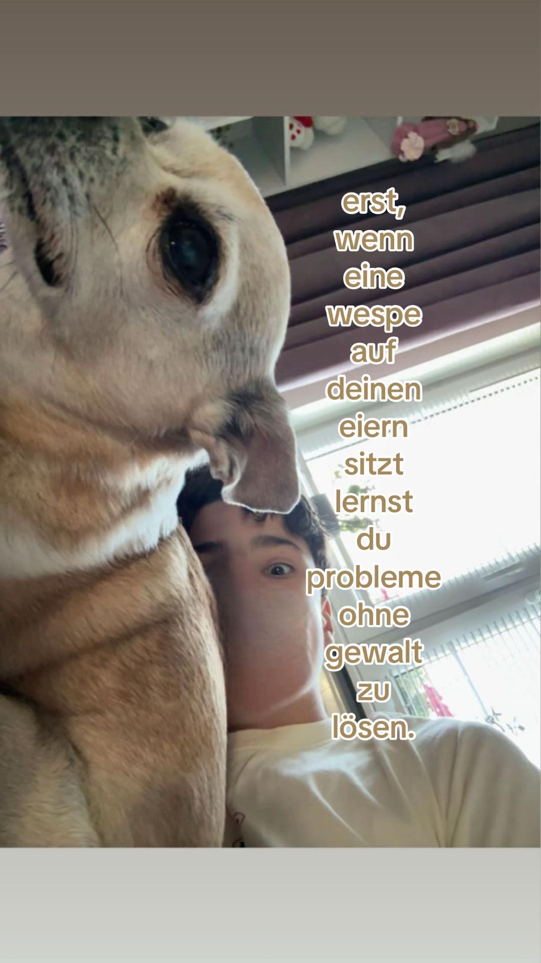 @🥊☝️