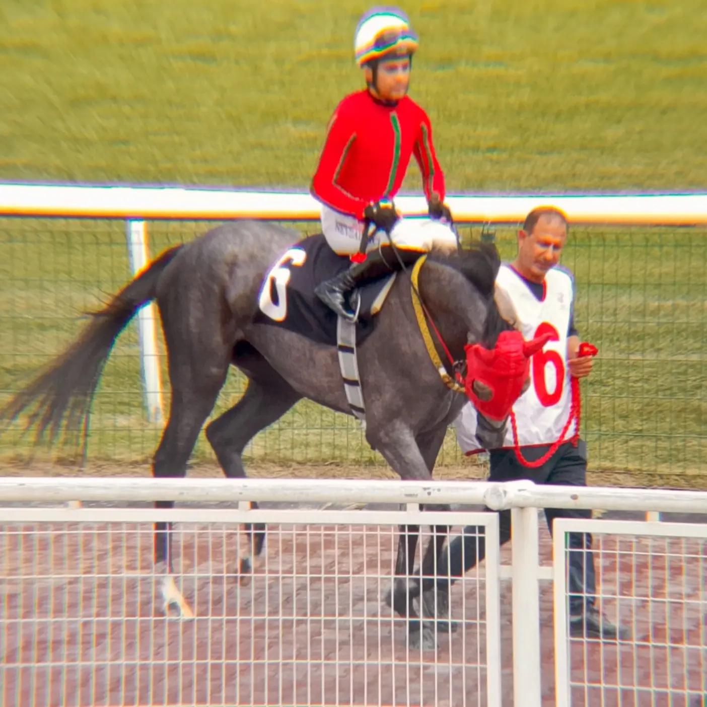 @brs horse racing
