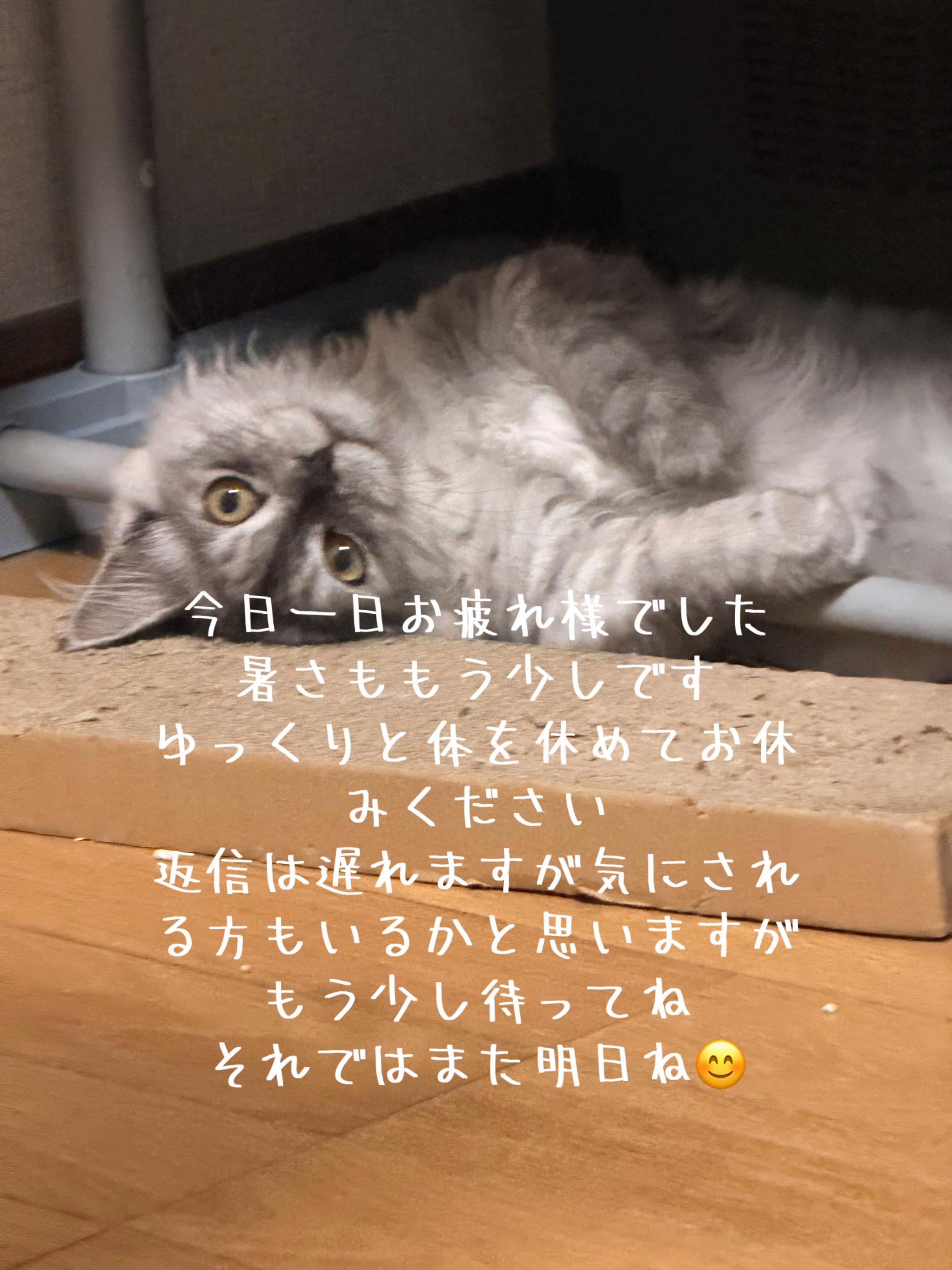 @ð¥é»æŸ€æ£å¿ð¥
