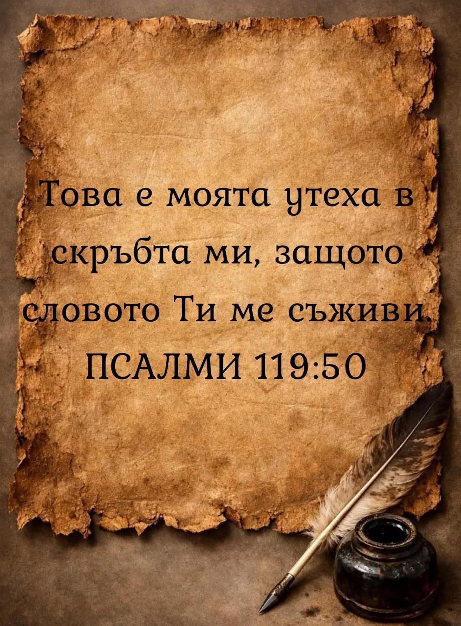 @Жеко
