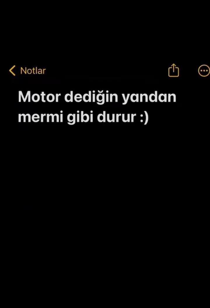 @🩶.𝙴𝚁𝙳𝙰𝙻𝙸𝙽𝙸𝚉.🩶