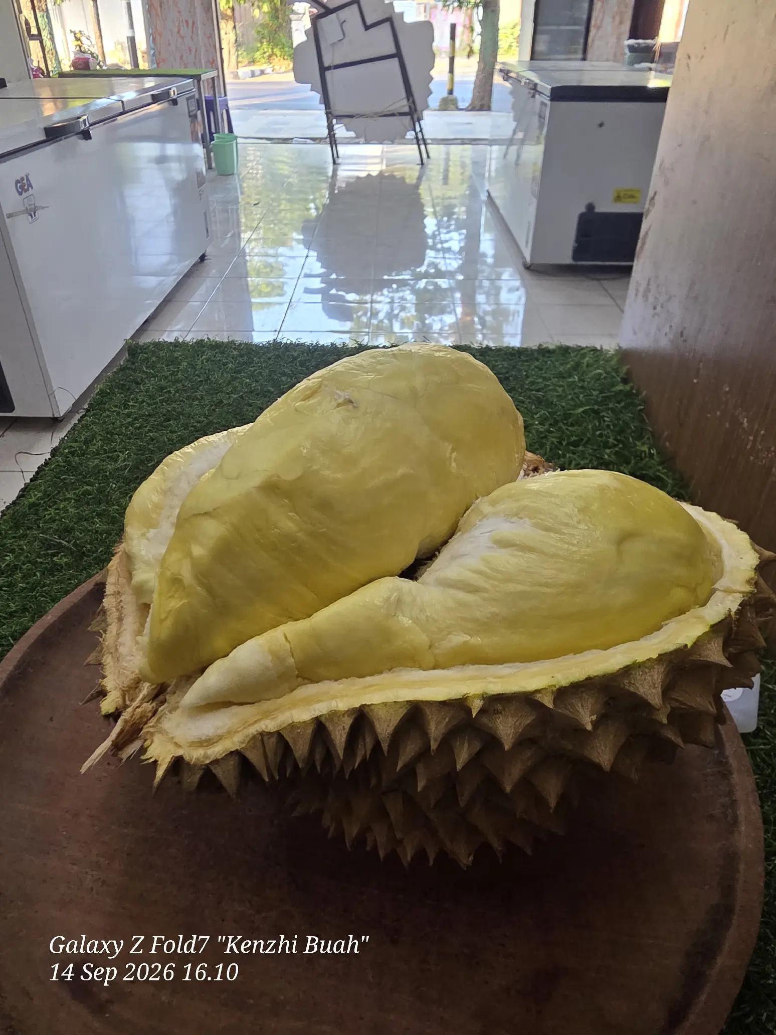 @Kenzhi Durian Tuban