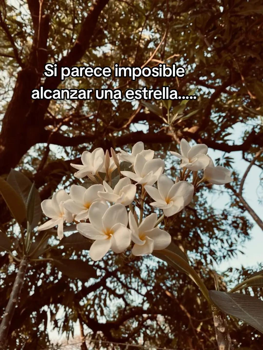 @Ariaaaaaaaaa