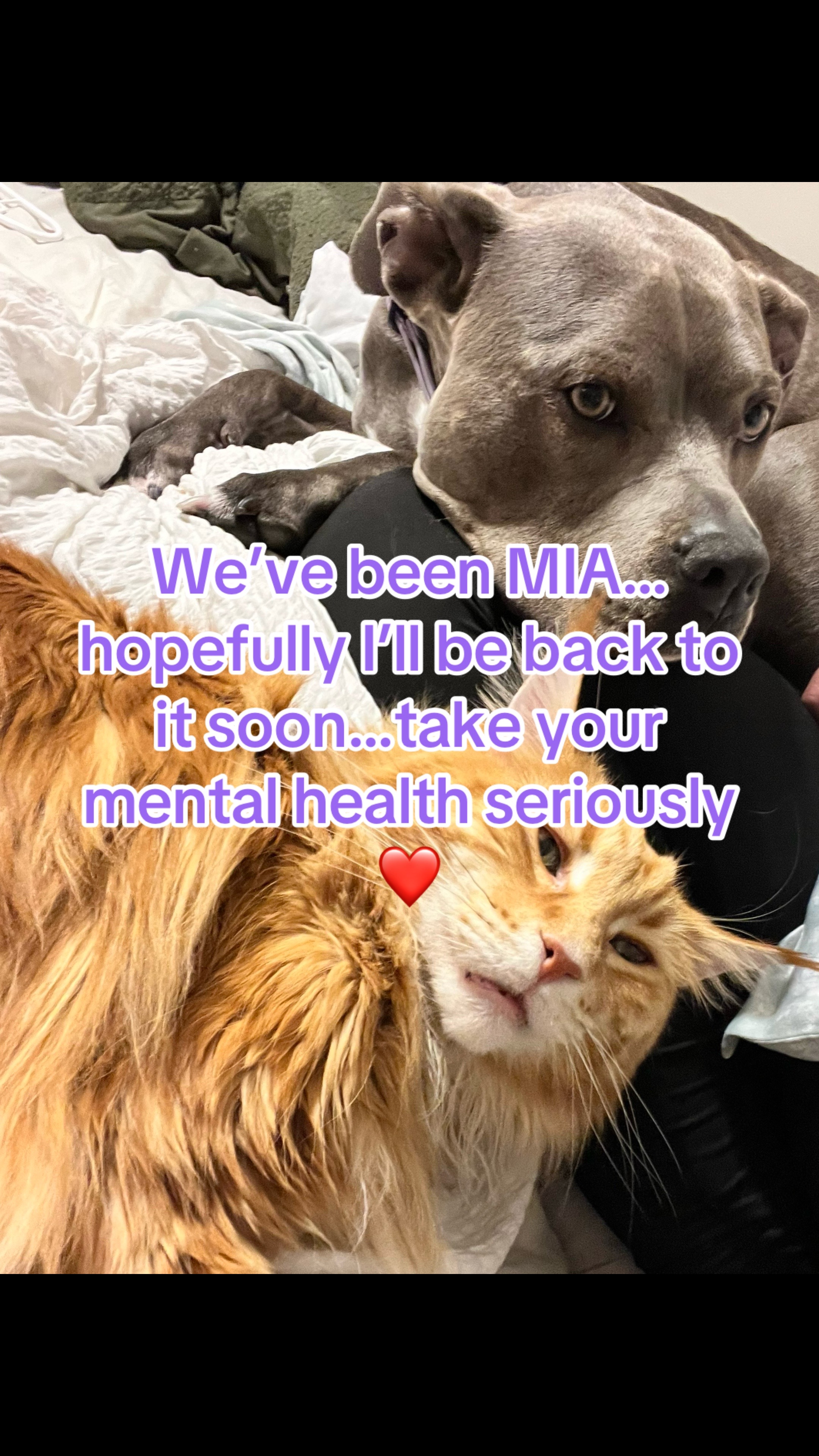 @Ivy the pitty