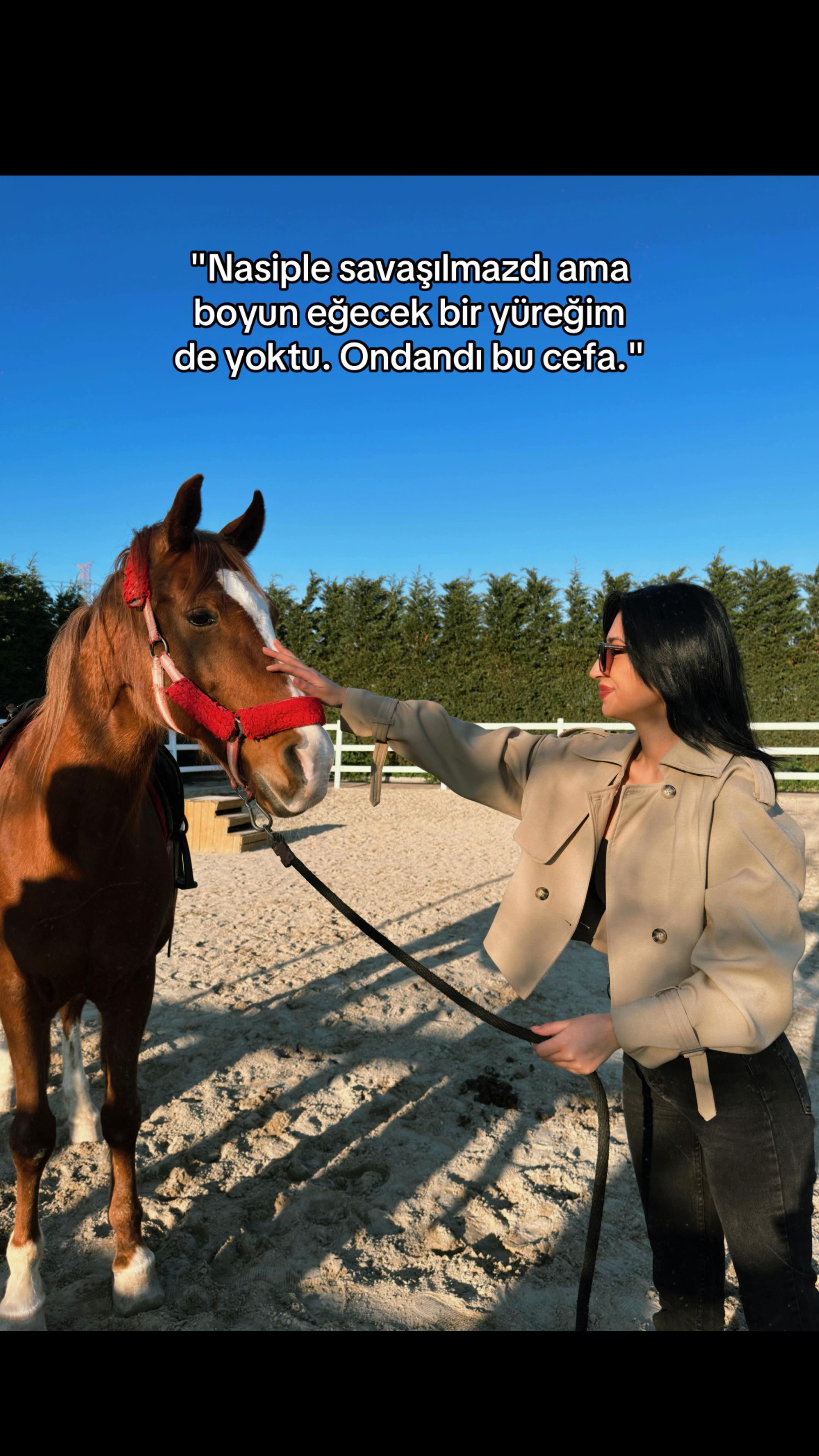 @SEVO𓃬ރ