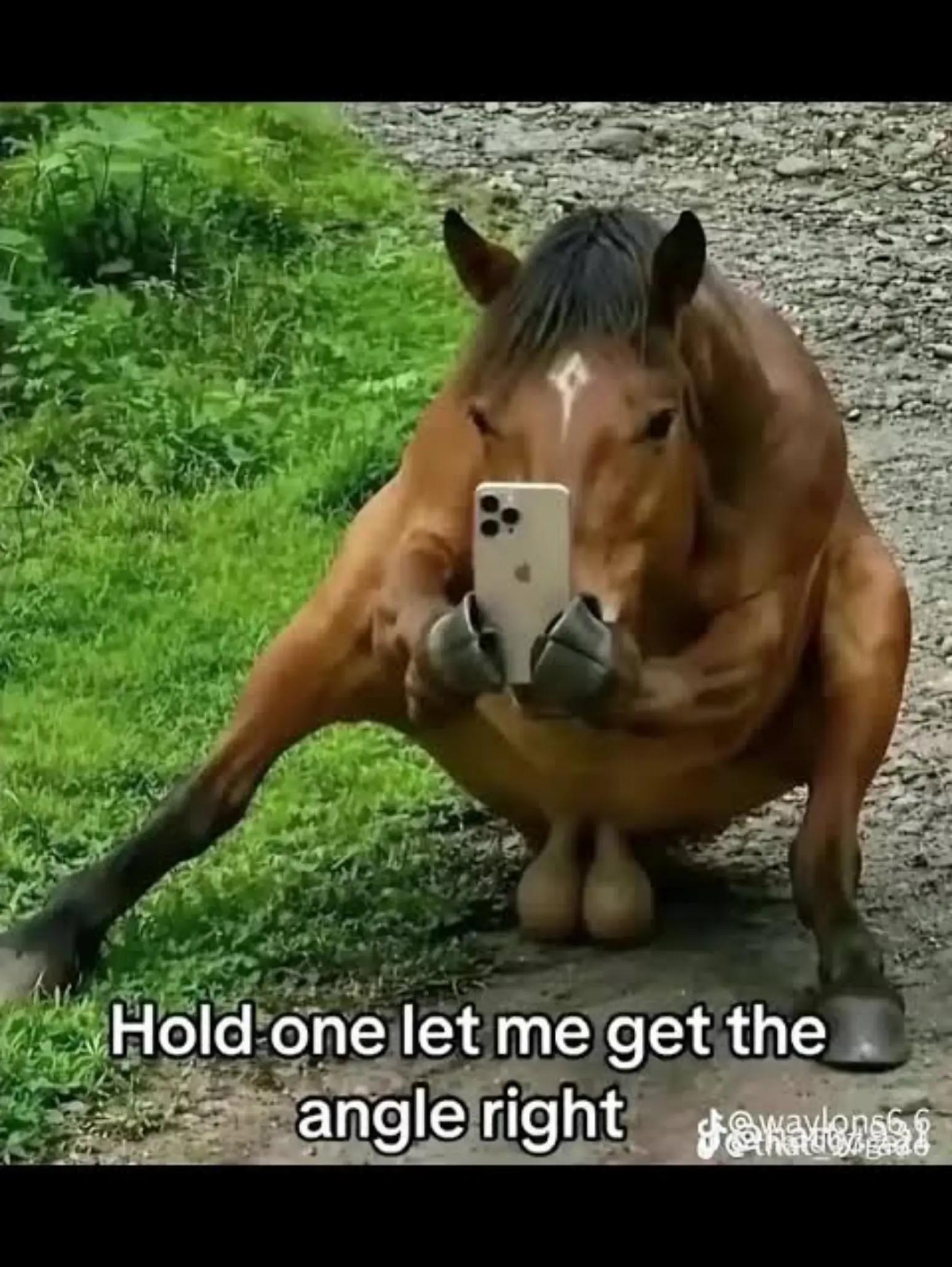 @Takrrr